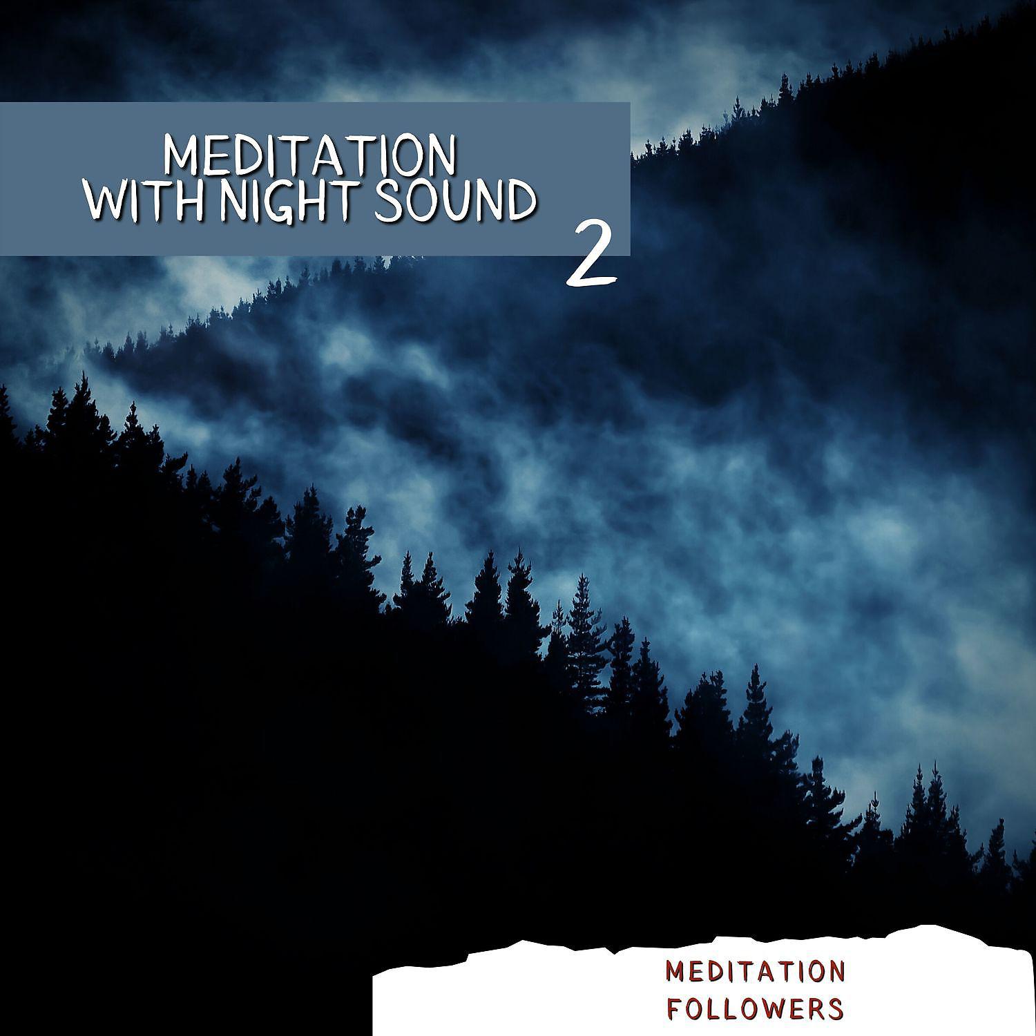 Постер альбома Meditation with Night Sound 2