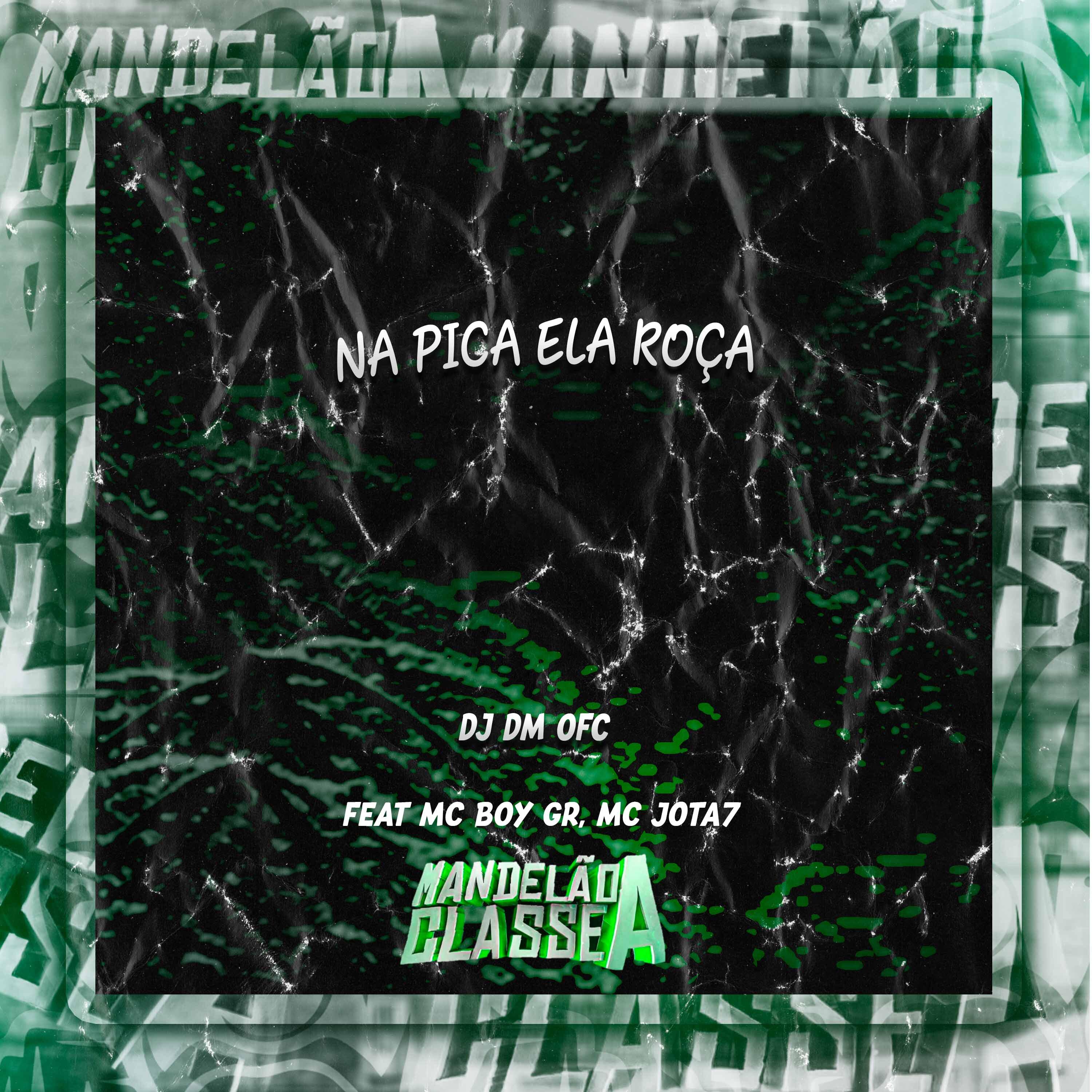 Постер альбома Na Pica Ela Roça