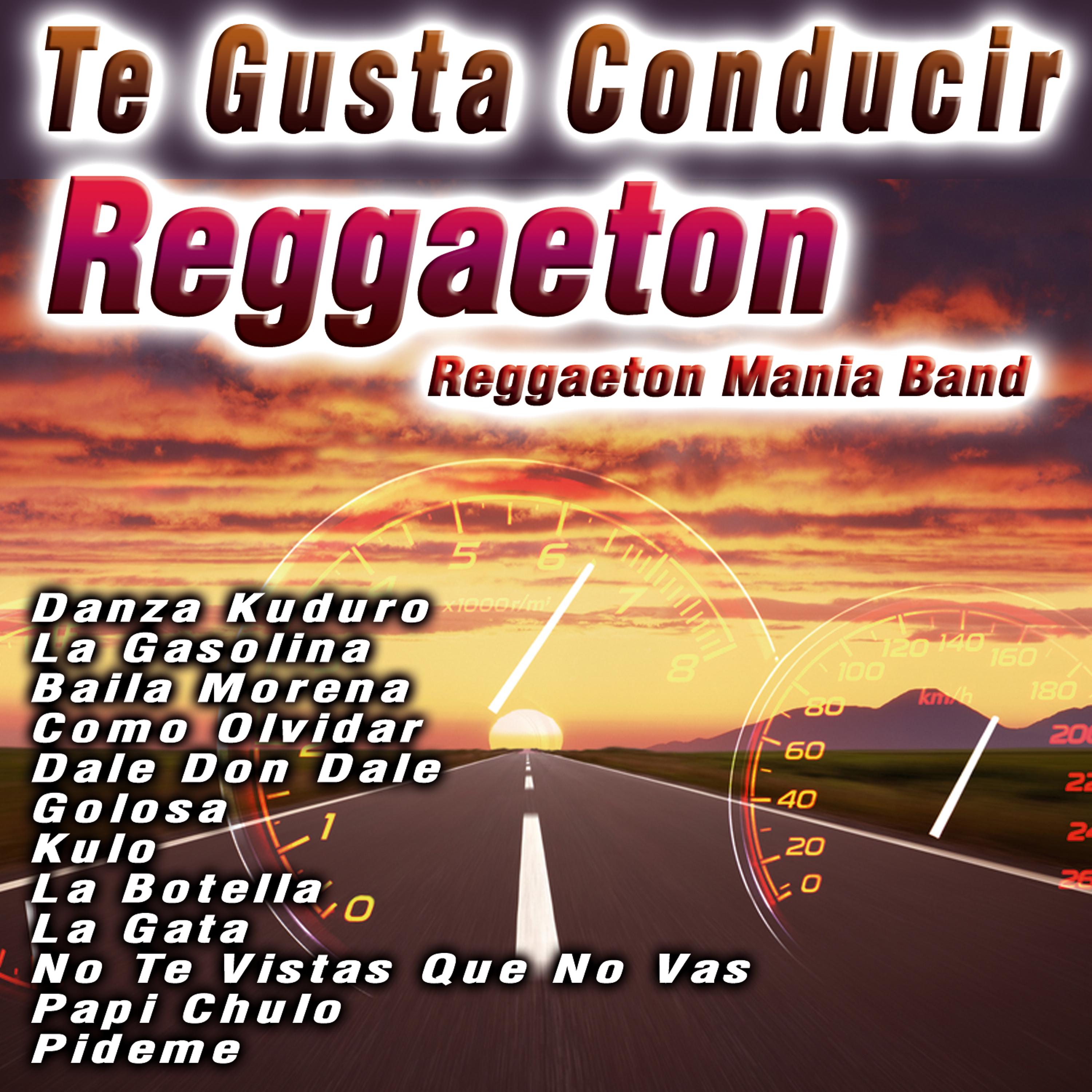 Постер альбома Te Gusta Conducir  Reggaeton