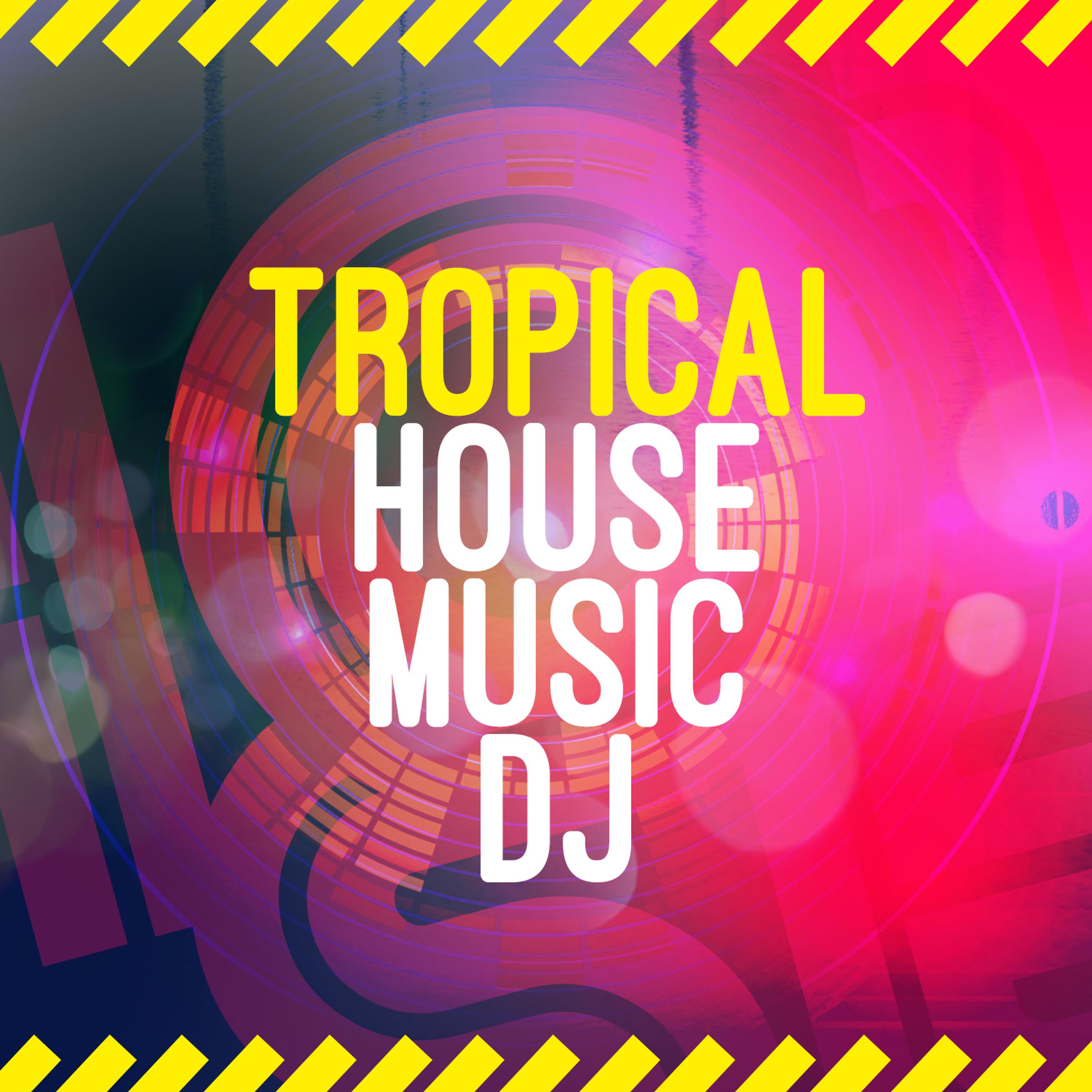 Постер альбома Tropical House Music DJ