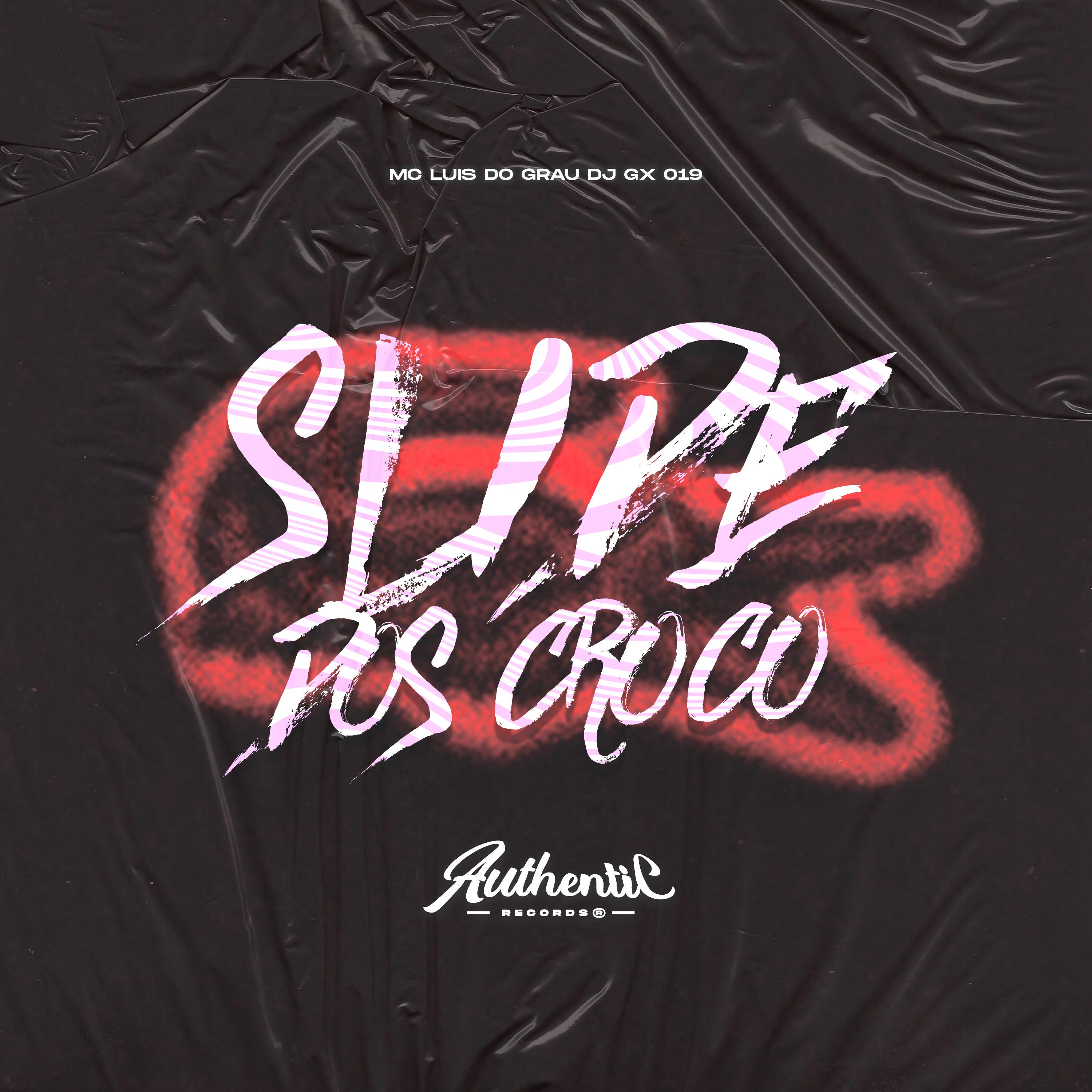 Постер альбома Slide dos Croco