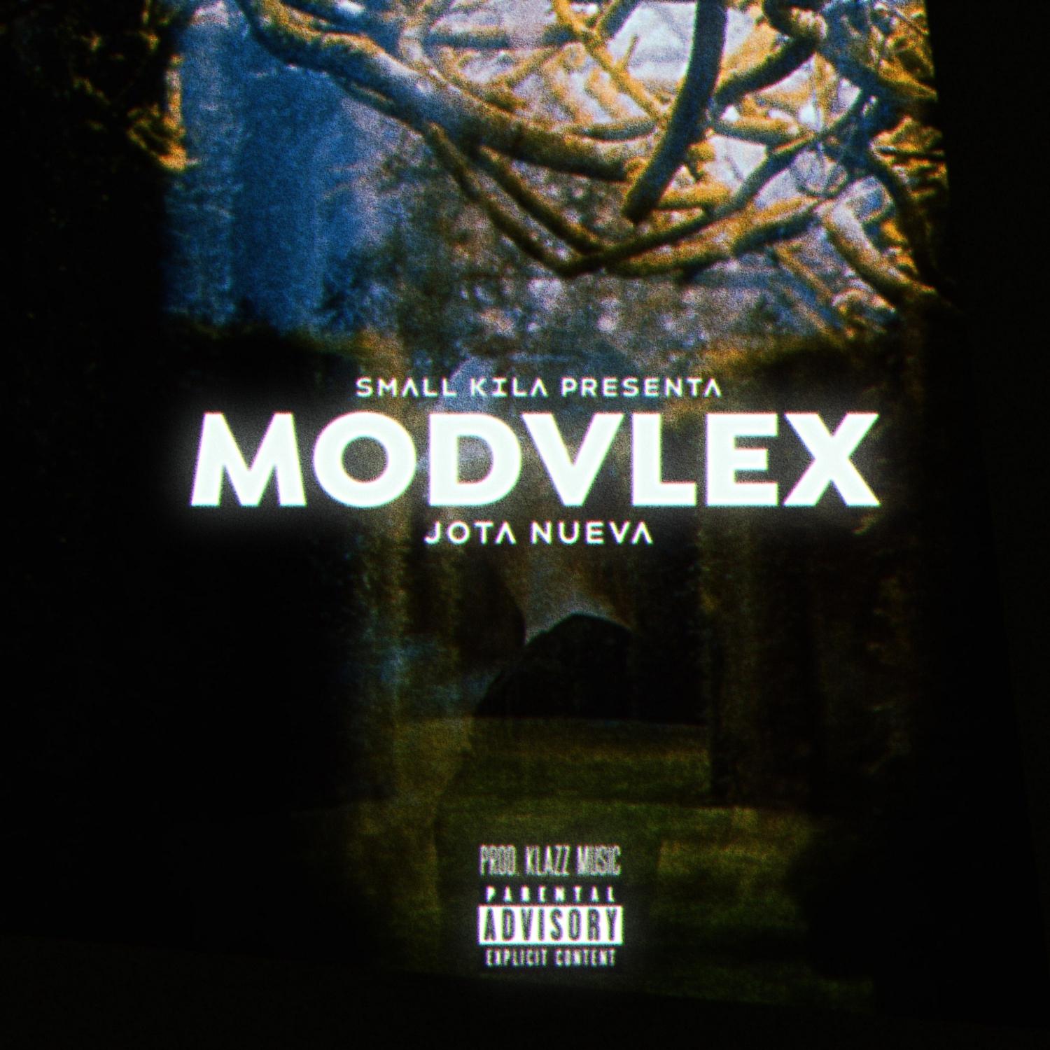 Постер альбома MODVLEX
