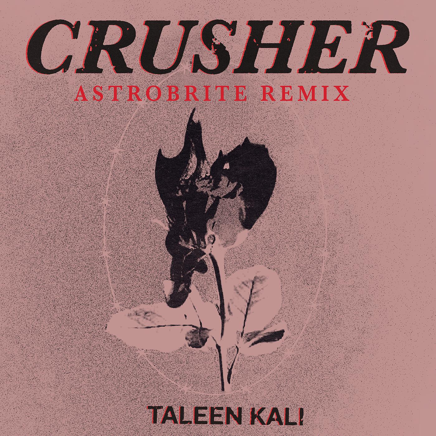 Постер альбома Crusher (Astrobrite Remix)