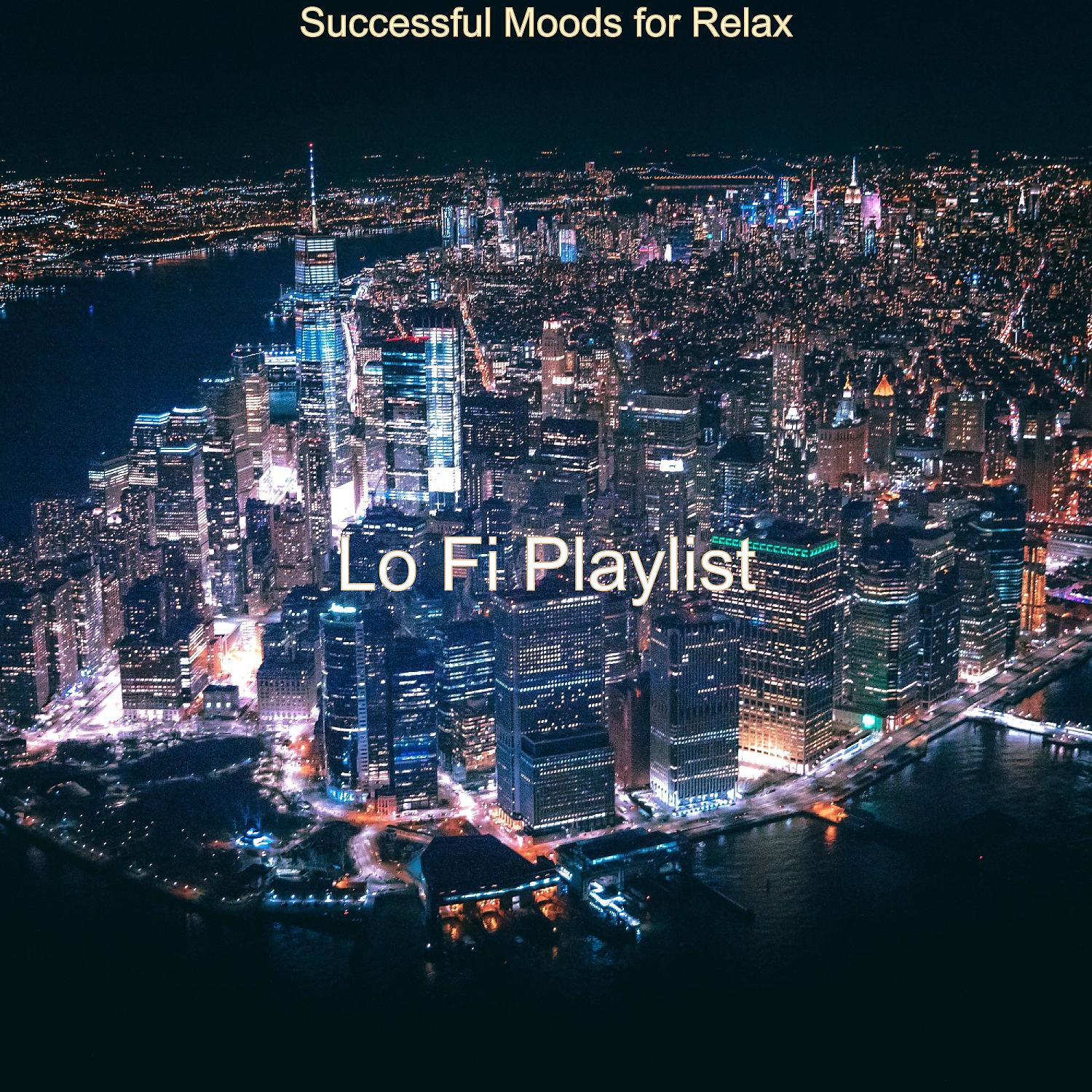 Постер альбома Successful Moods for Relax
