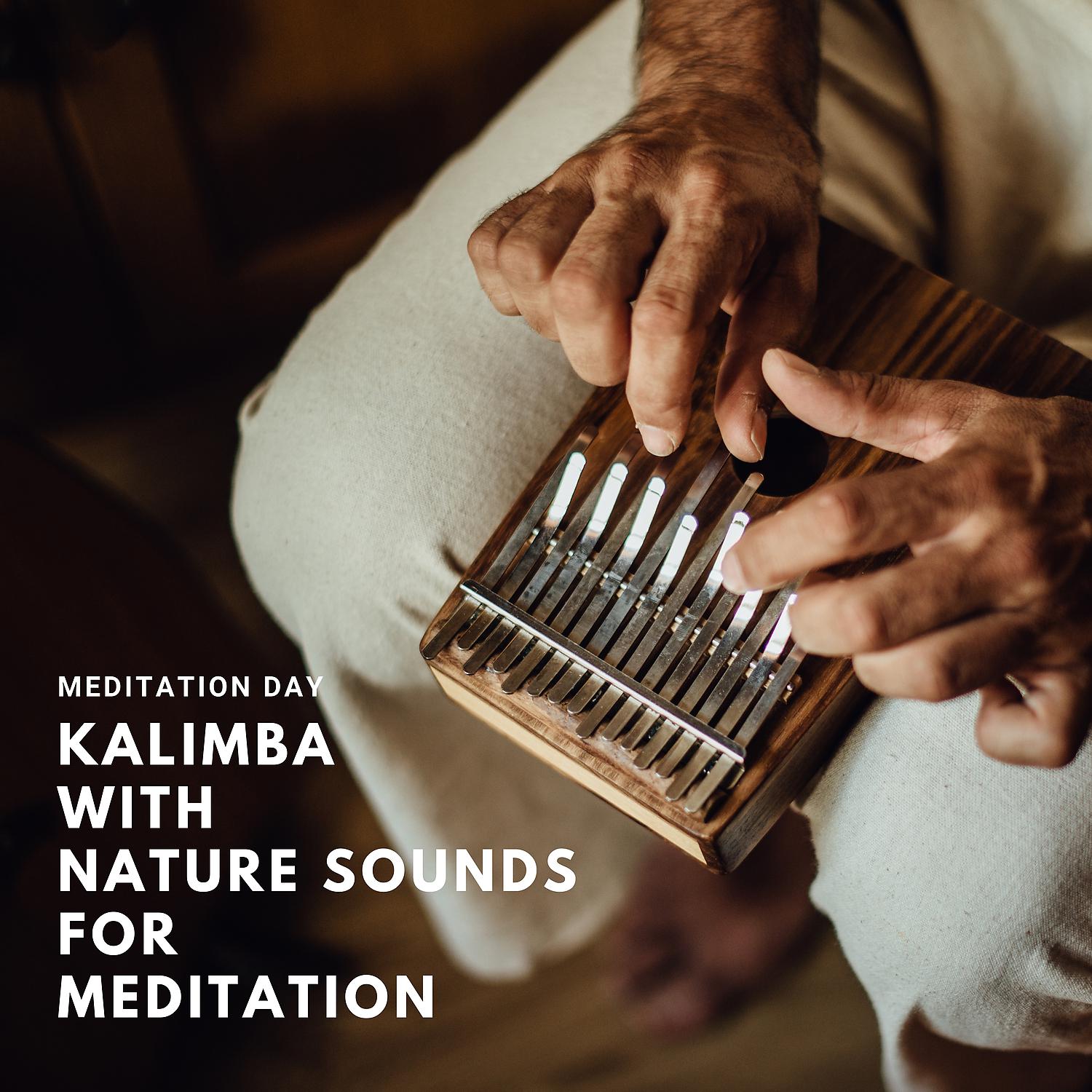 Постер альбома Kalimba with Nature Sounds for Meditation