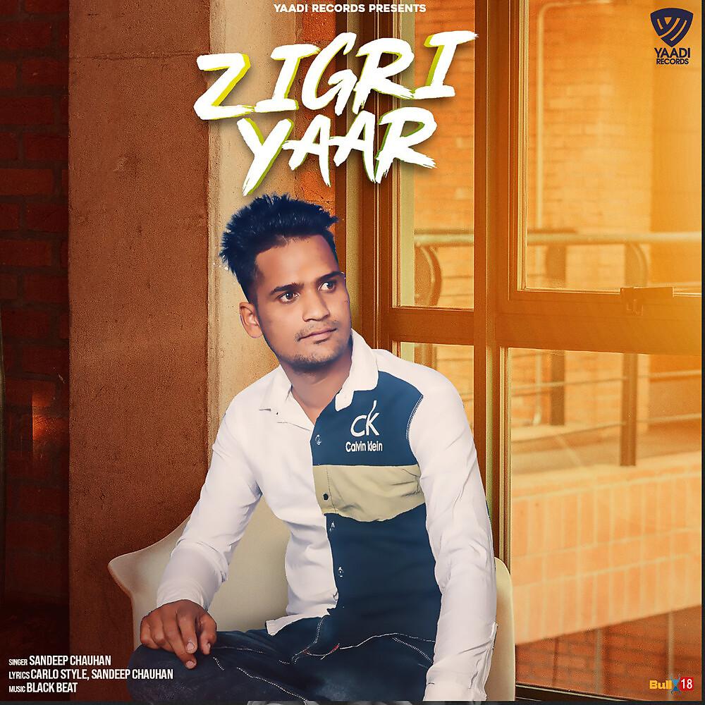 Постер альбома Zigri Yaar
