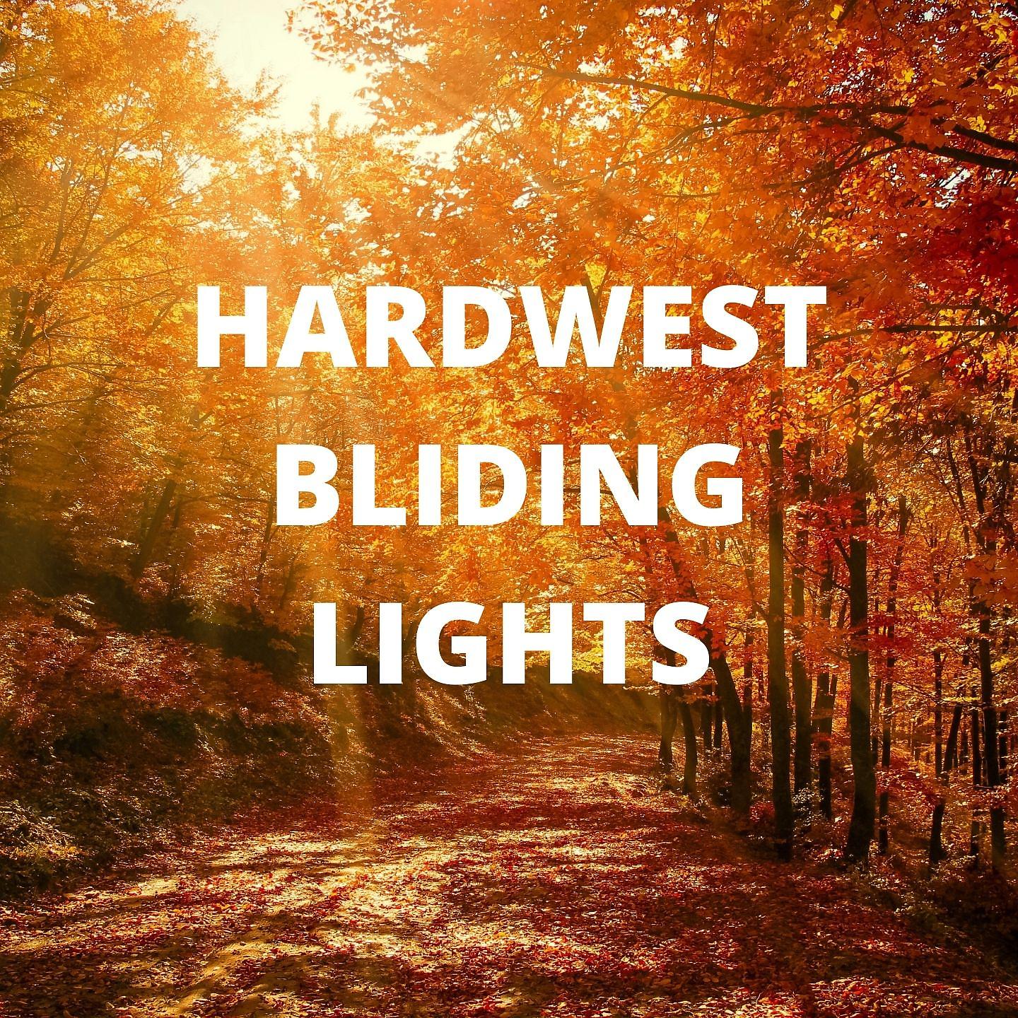 Постер альбома BLIDING LIGHTS