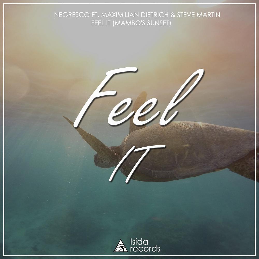Постер альбома Feel It (Mambo's Sunset)