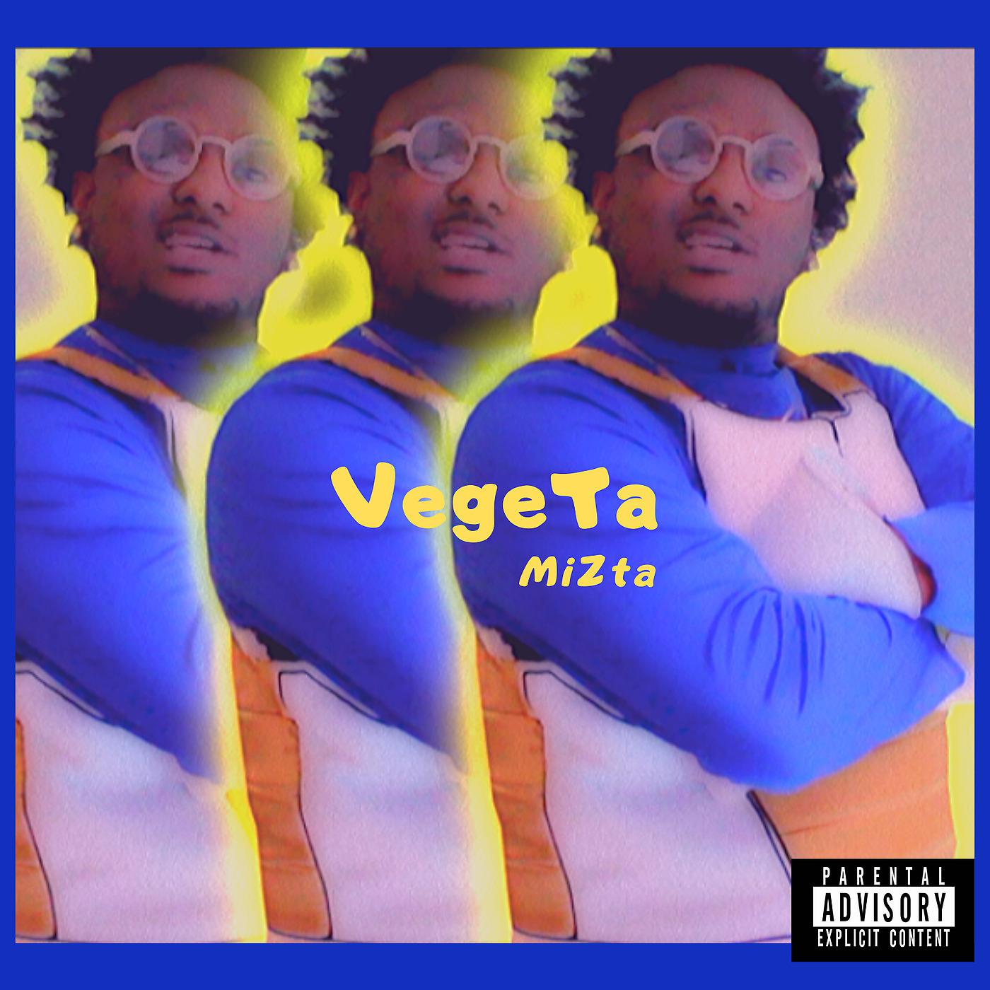 Постер альбома VegeTa