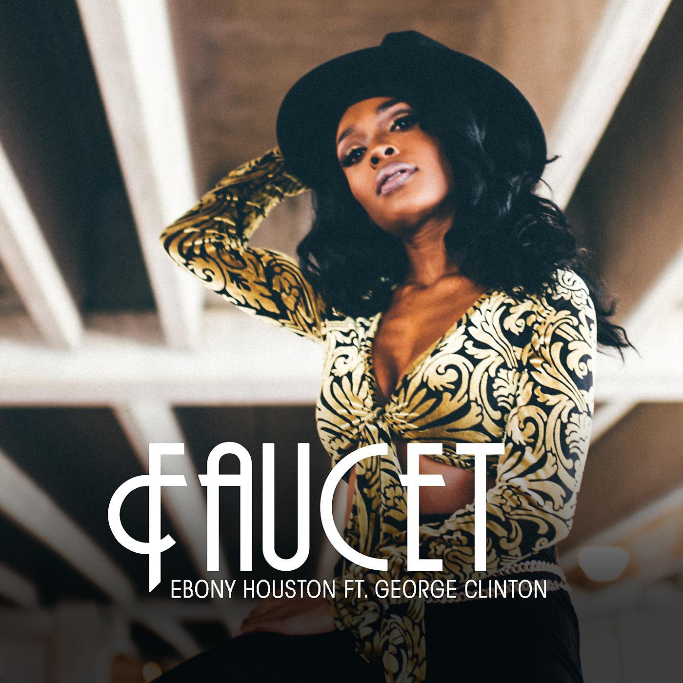 Постер альбома Faucet (feat. George Clinton)