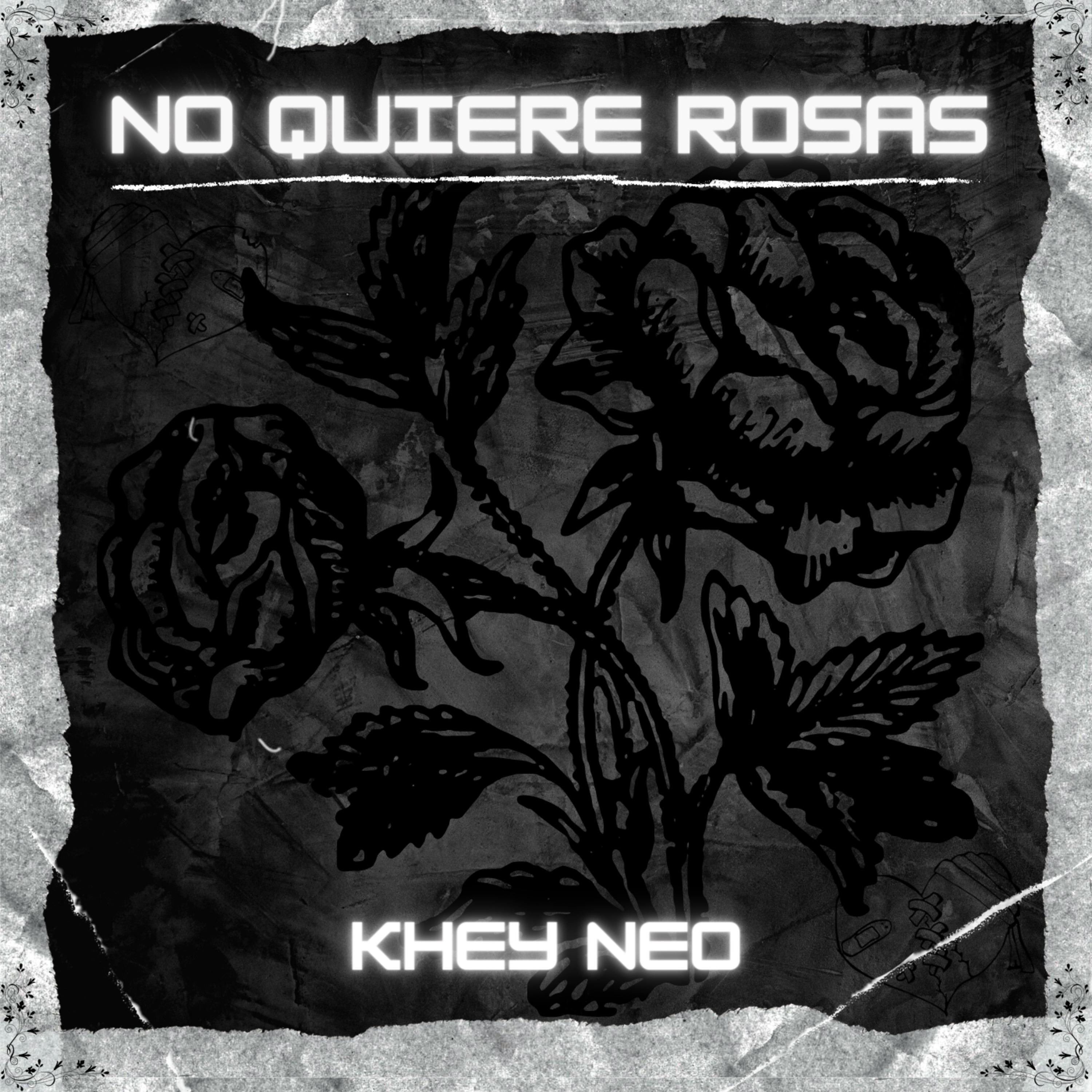 Постер альбома No Quiere Rosas