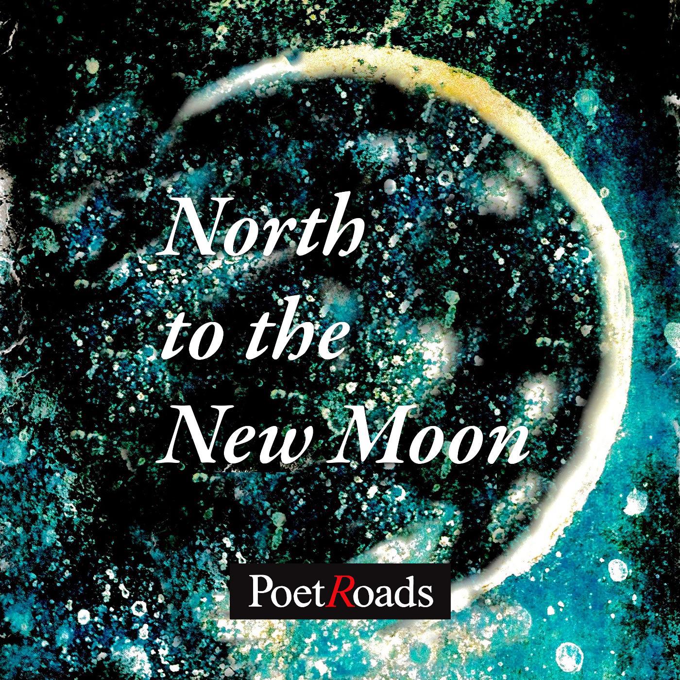 Постер альбома North to the New Moon (feat. Christina Apostolopoulos, Noah Bruskin & Satya Keyes)