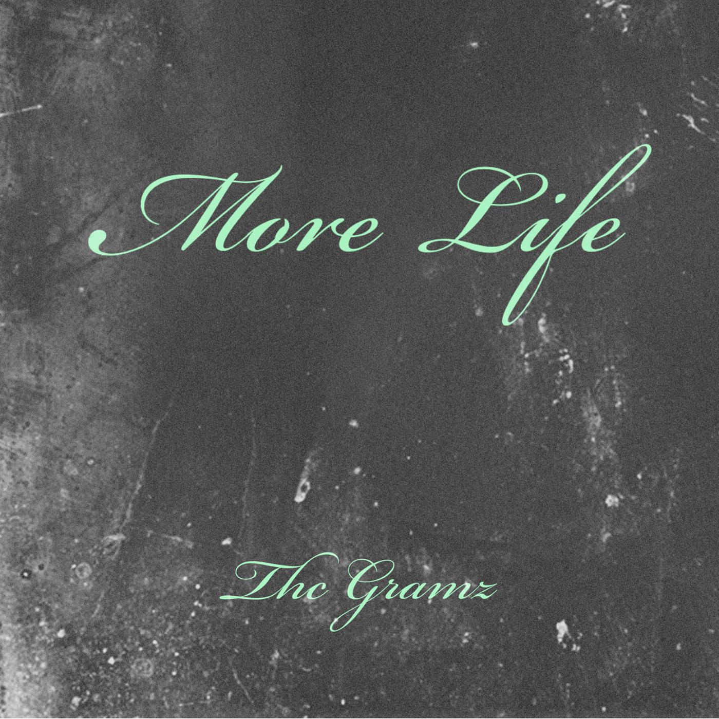 Постер альбома More Life