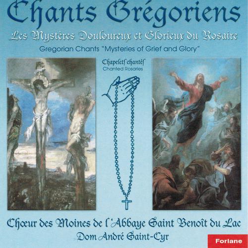 Постер альбома Chants grégoriens : Les mystères douloureux et glorieux du Rosaire
