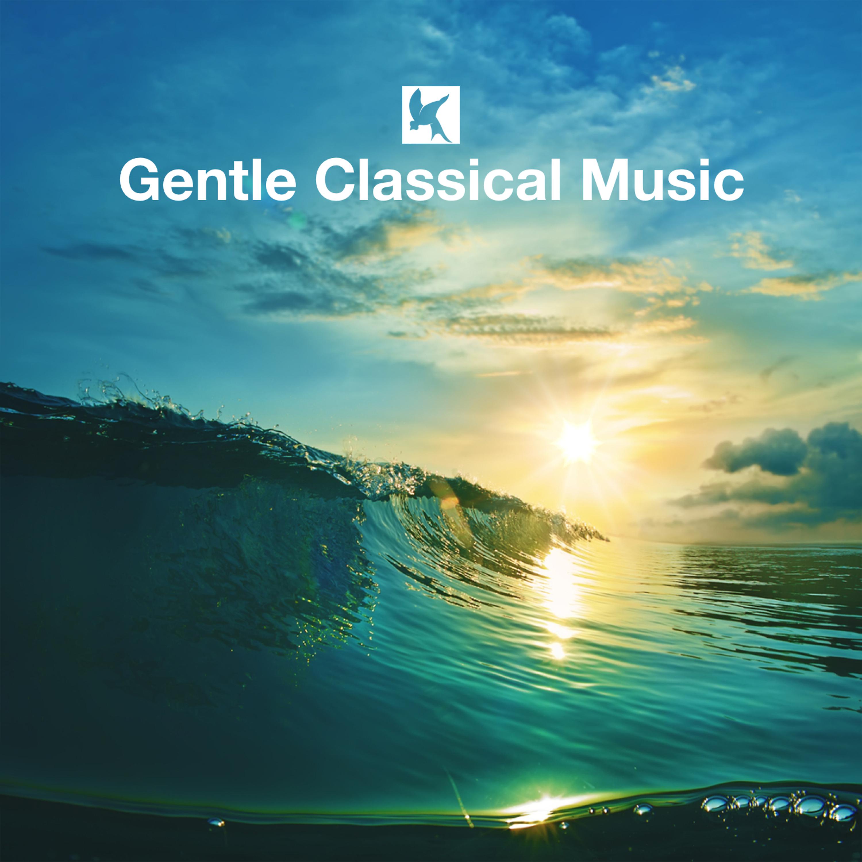 Постер альбома Gentle Classical Music