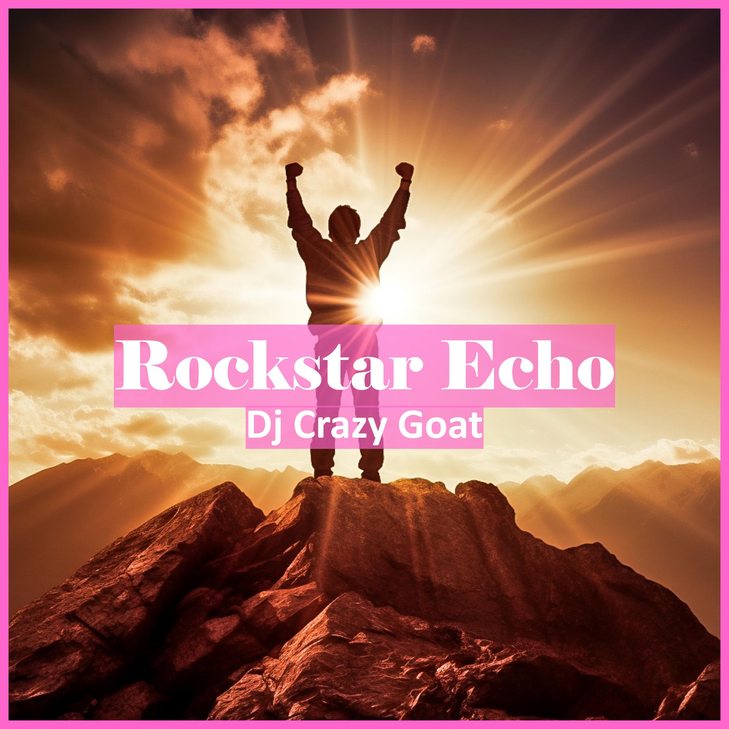 Постер альбома Rockstar Echo