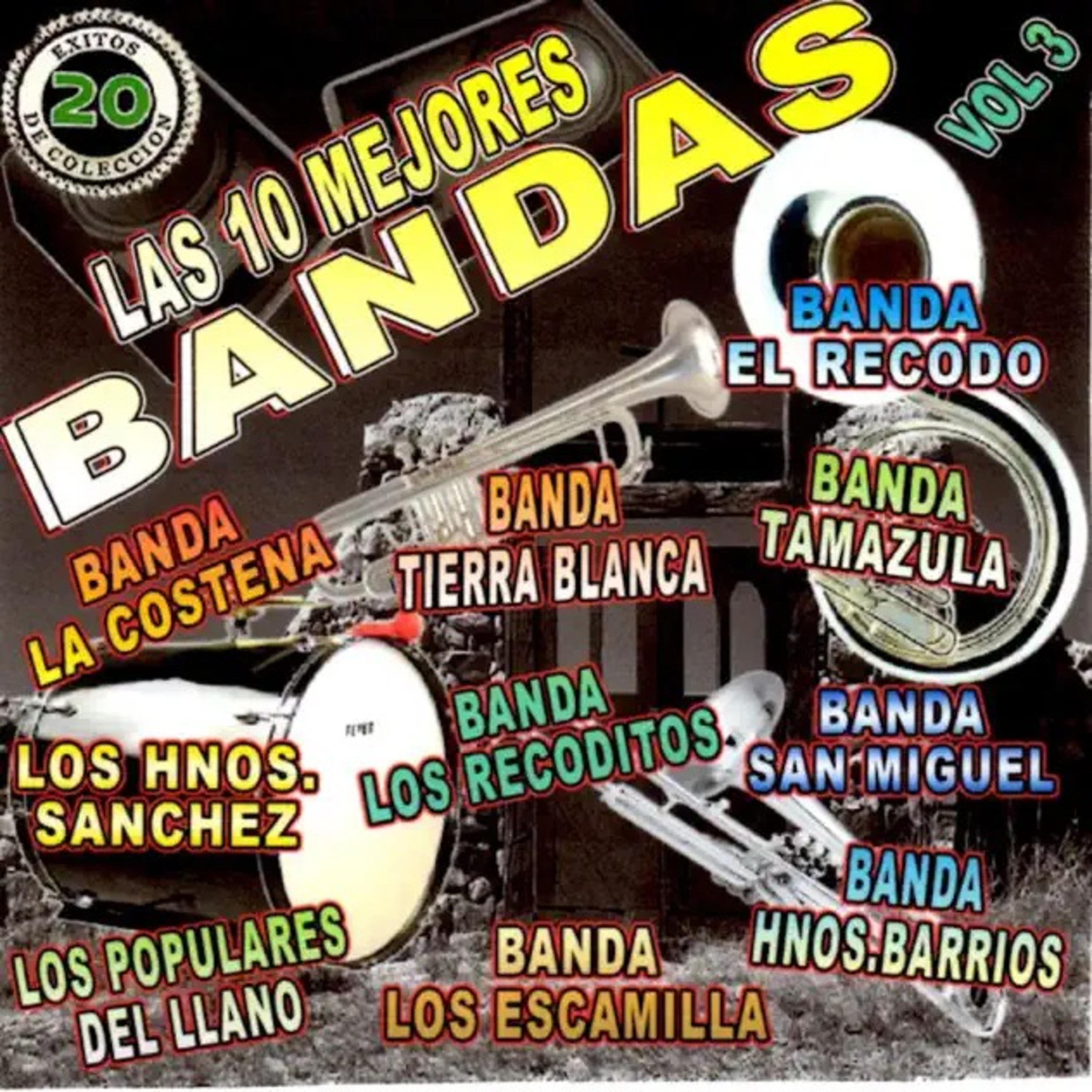 Постер альбома 20 Éxitos De Las 10 Mejores Bandas, Vol. 3