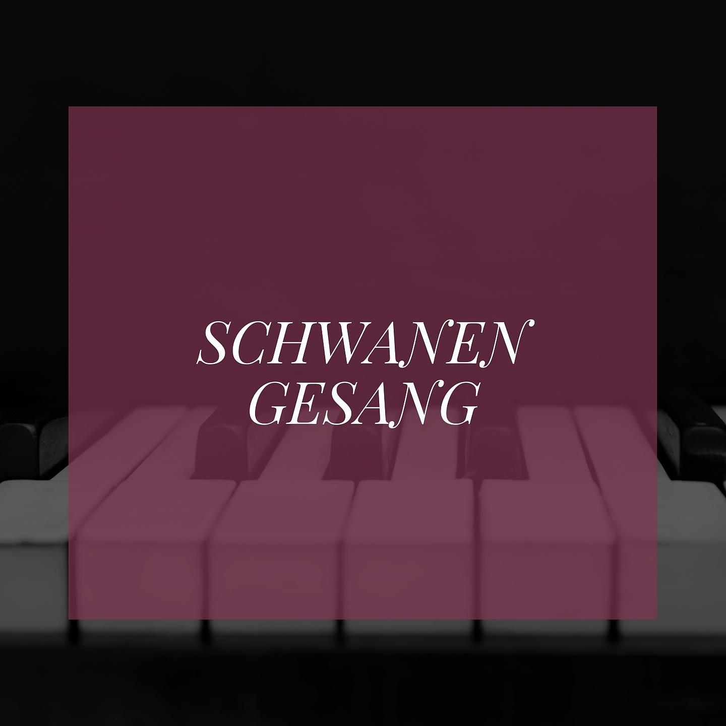 Постер альбома Schwanengesang