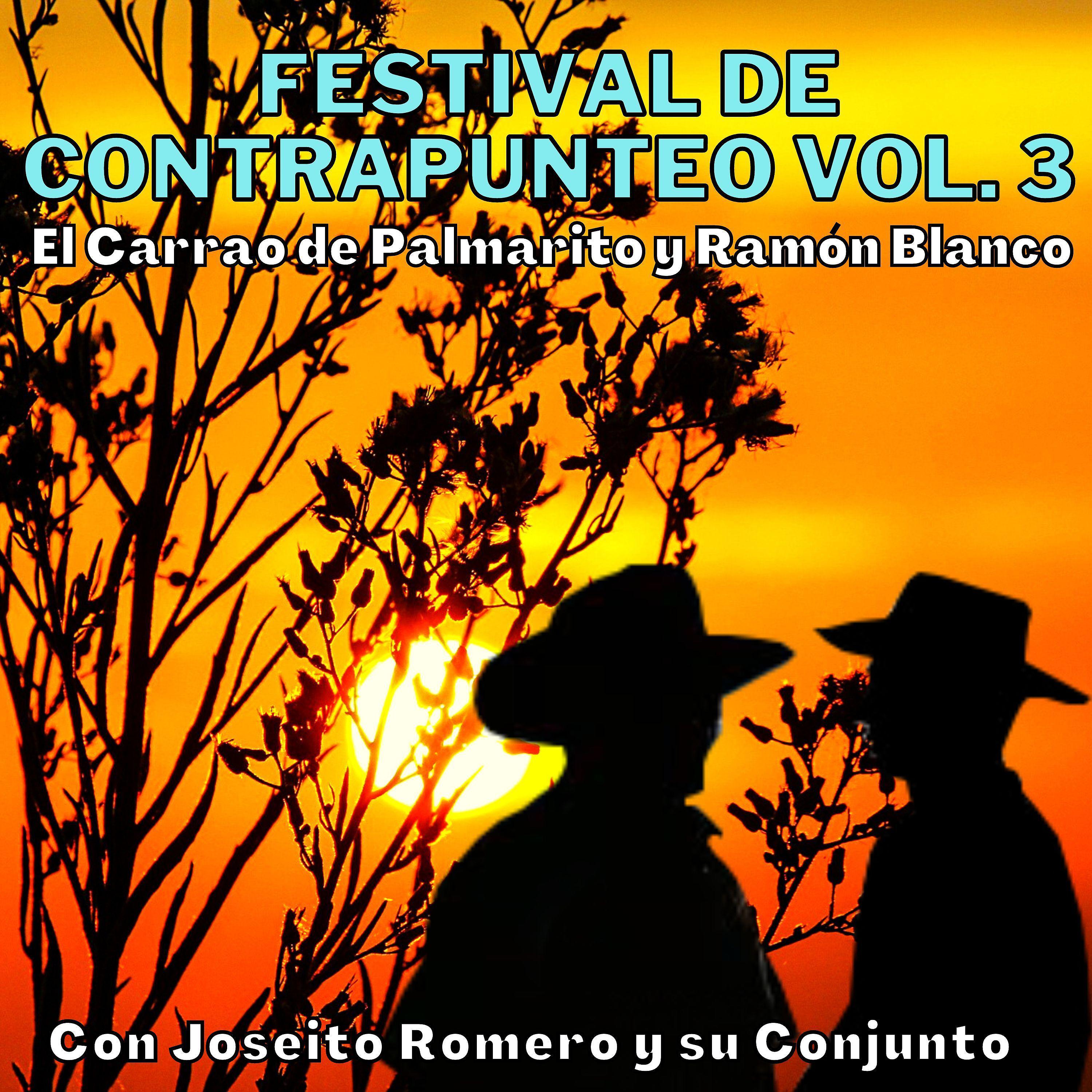 Постер альбома Festival de Contrapunteo, Vol. 3