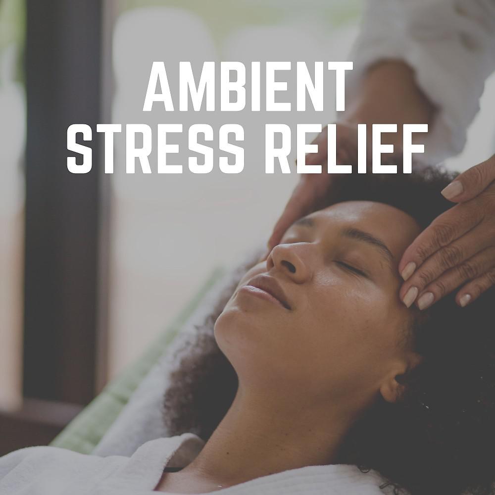 Постер альбома Ambient Stress Relief