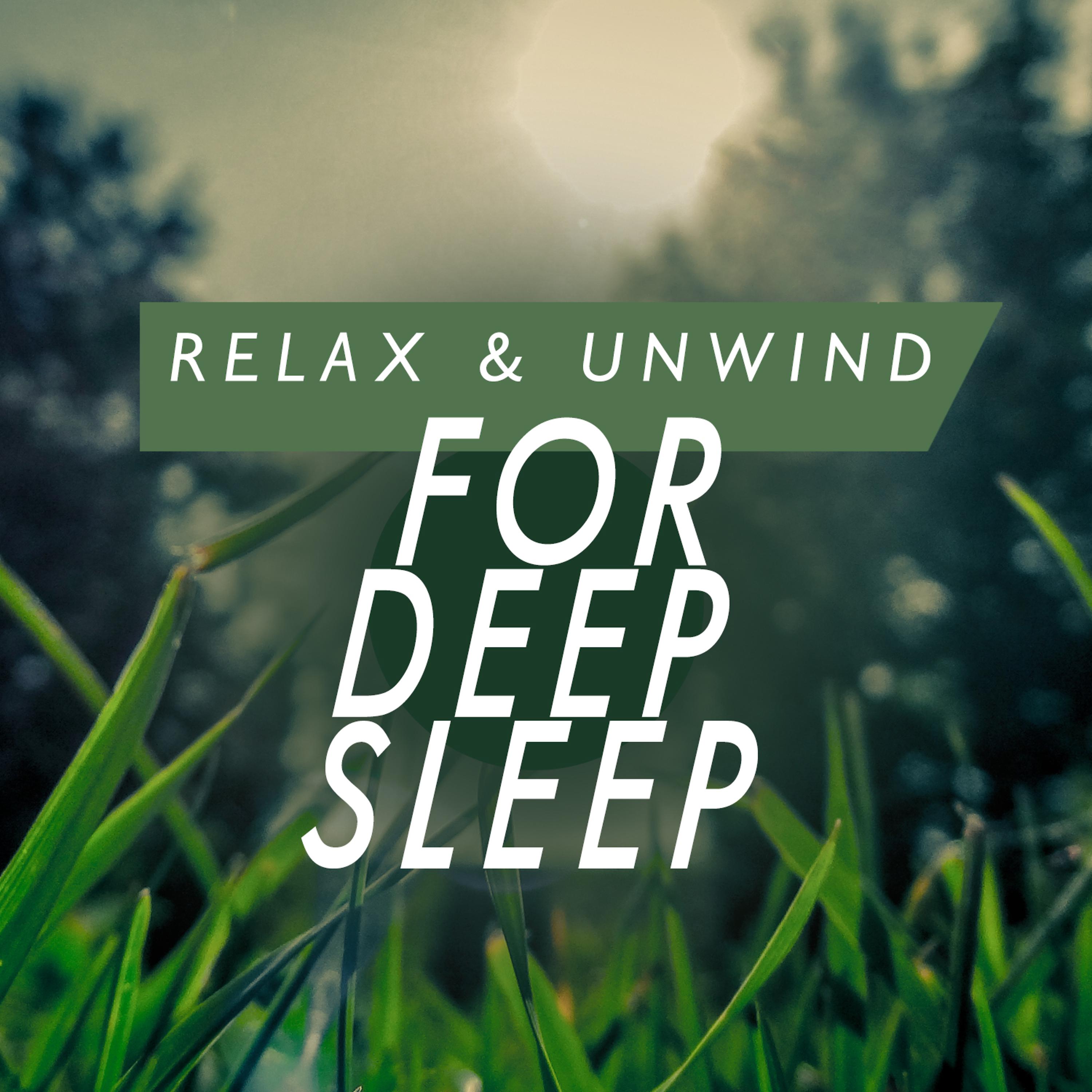 Постер альбома Relax & Unwind for Deep Sleep