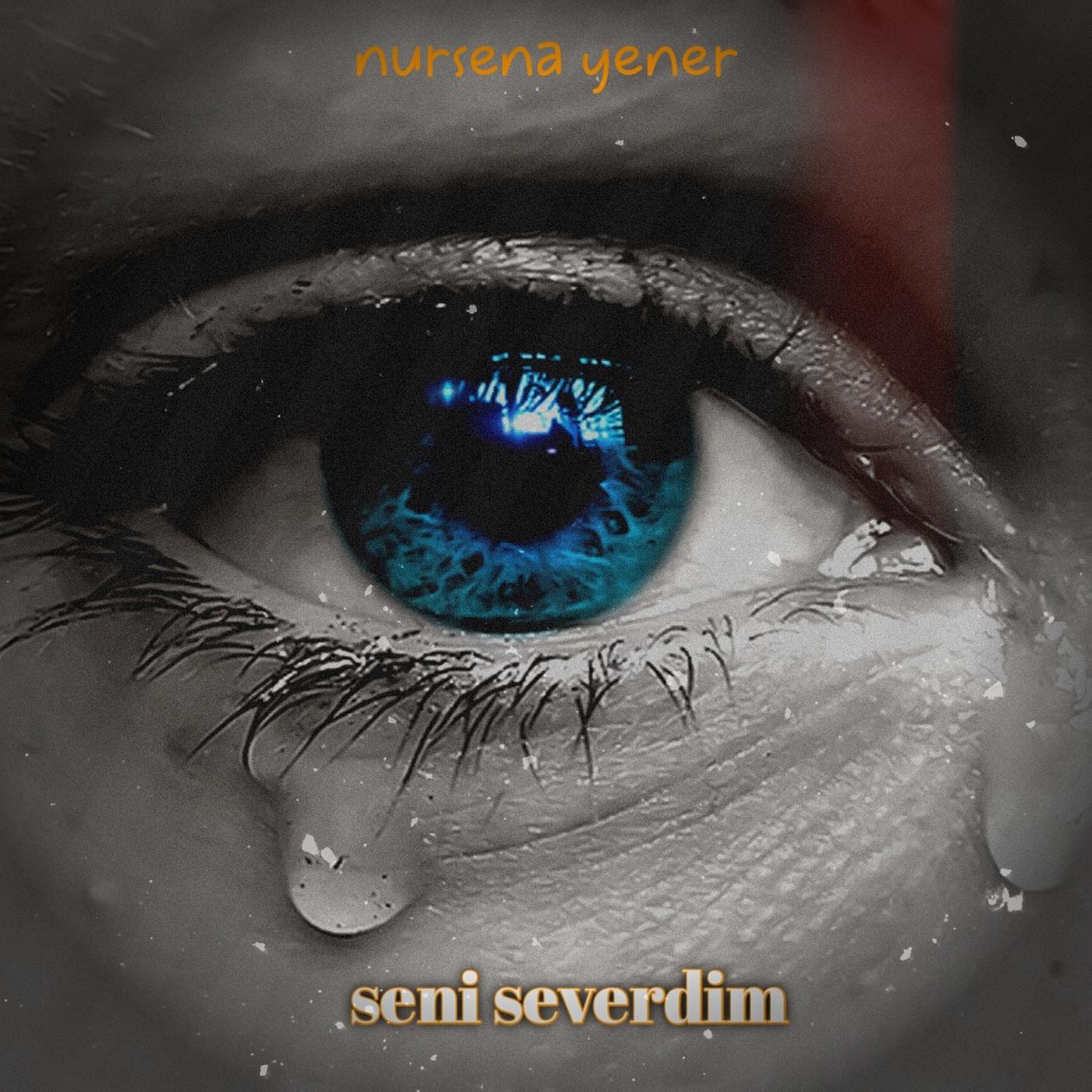 Постер альбома Seni Severdim