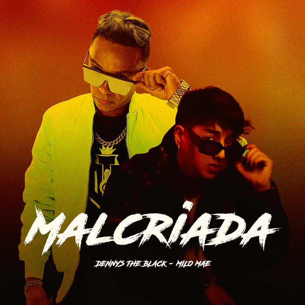 Постер альбома Malcriada
