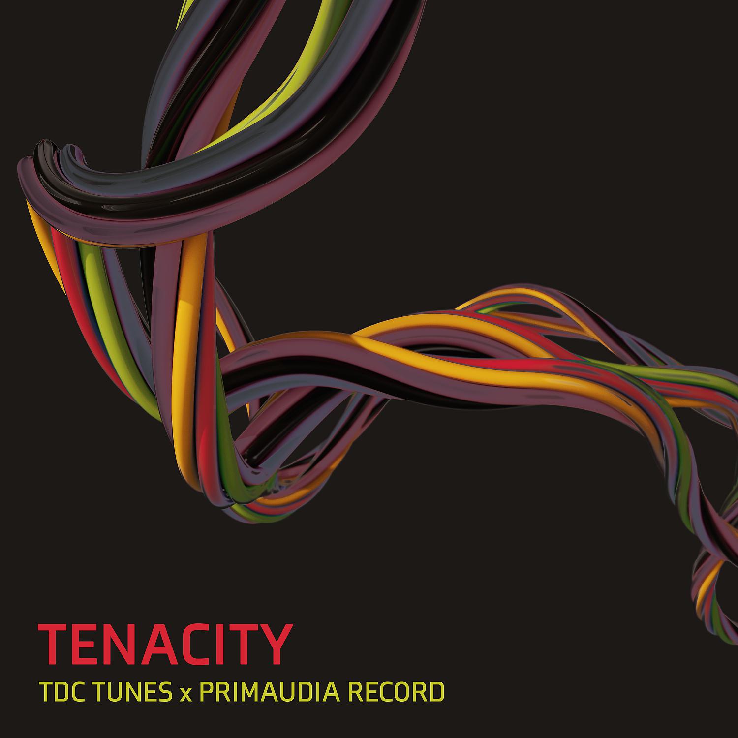 Постер альбома Tenacity