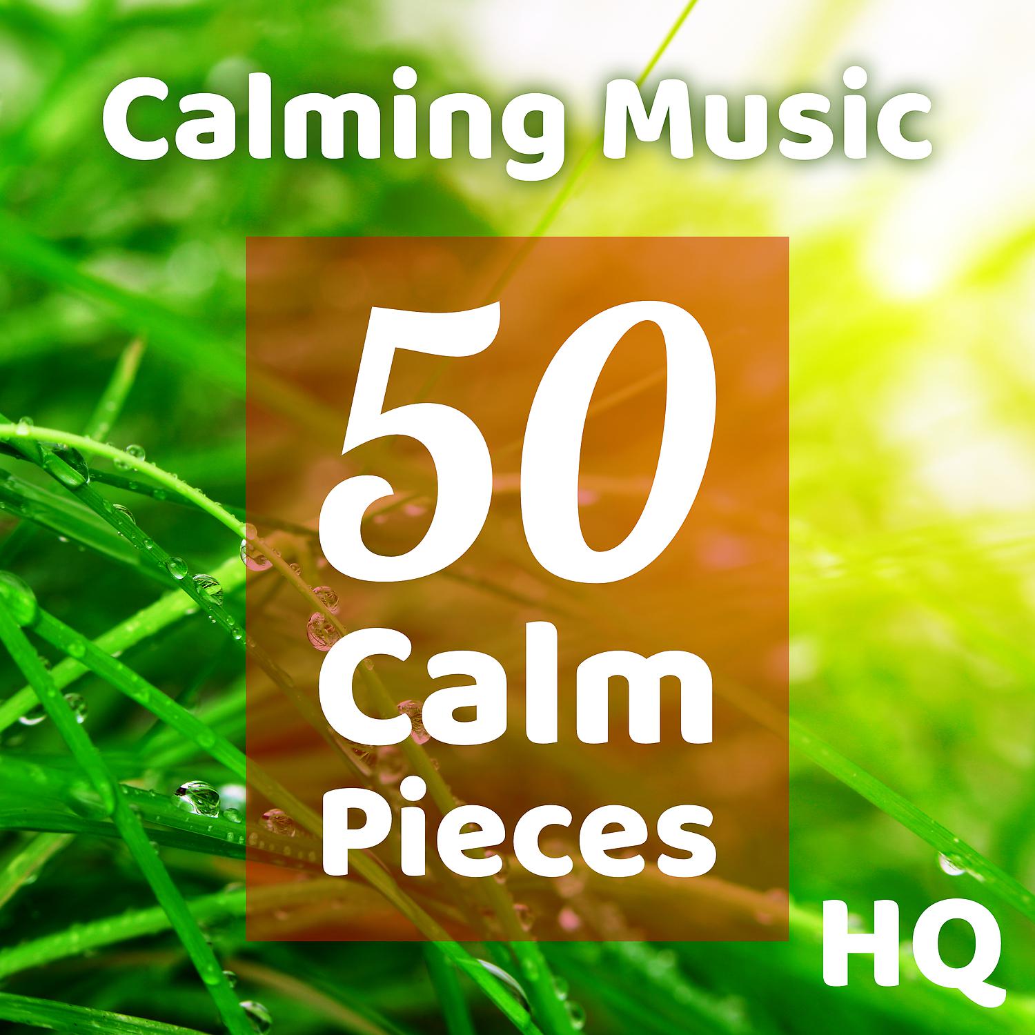 Постер альбома Calming Music 50 Calm Pieces
