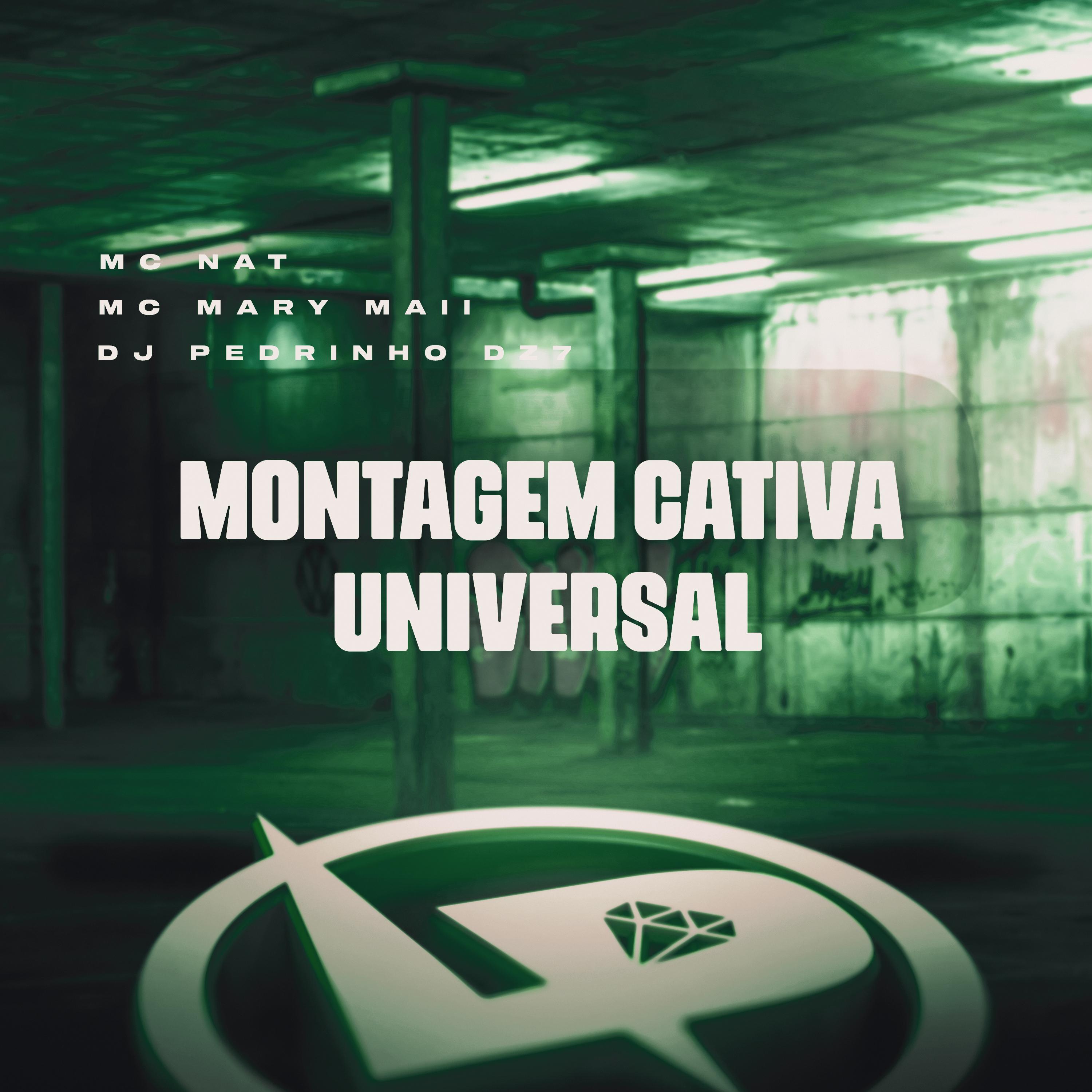 Постер альбома Montagem Cativá Universal