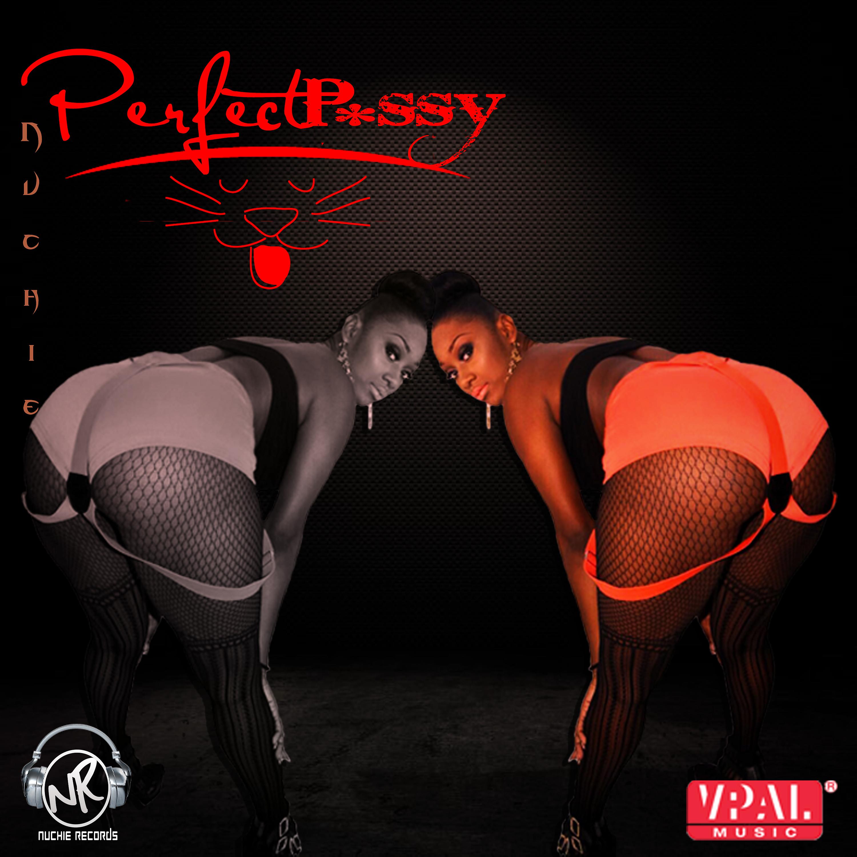 Постер альбома Perfect Pussy