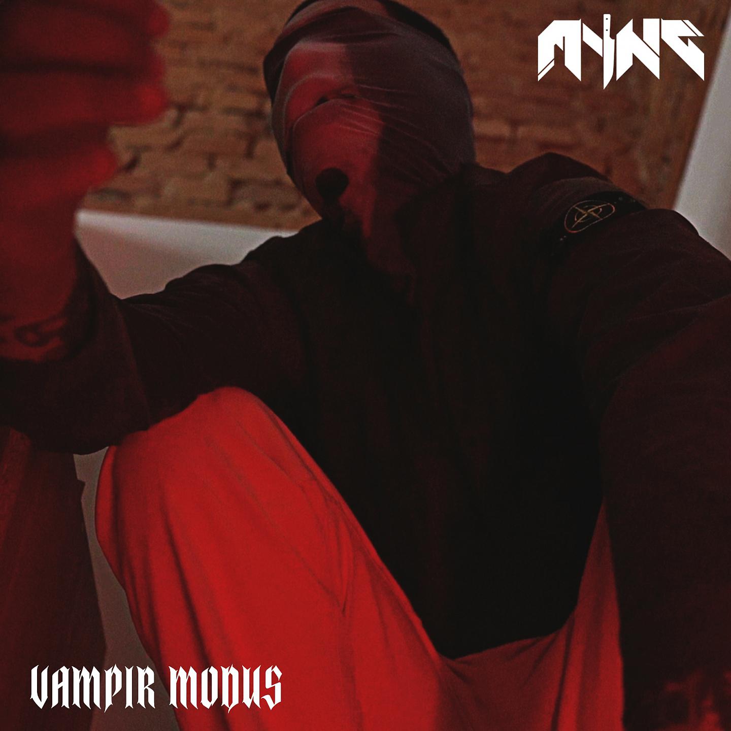 Постер альбома Vampir Modus