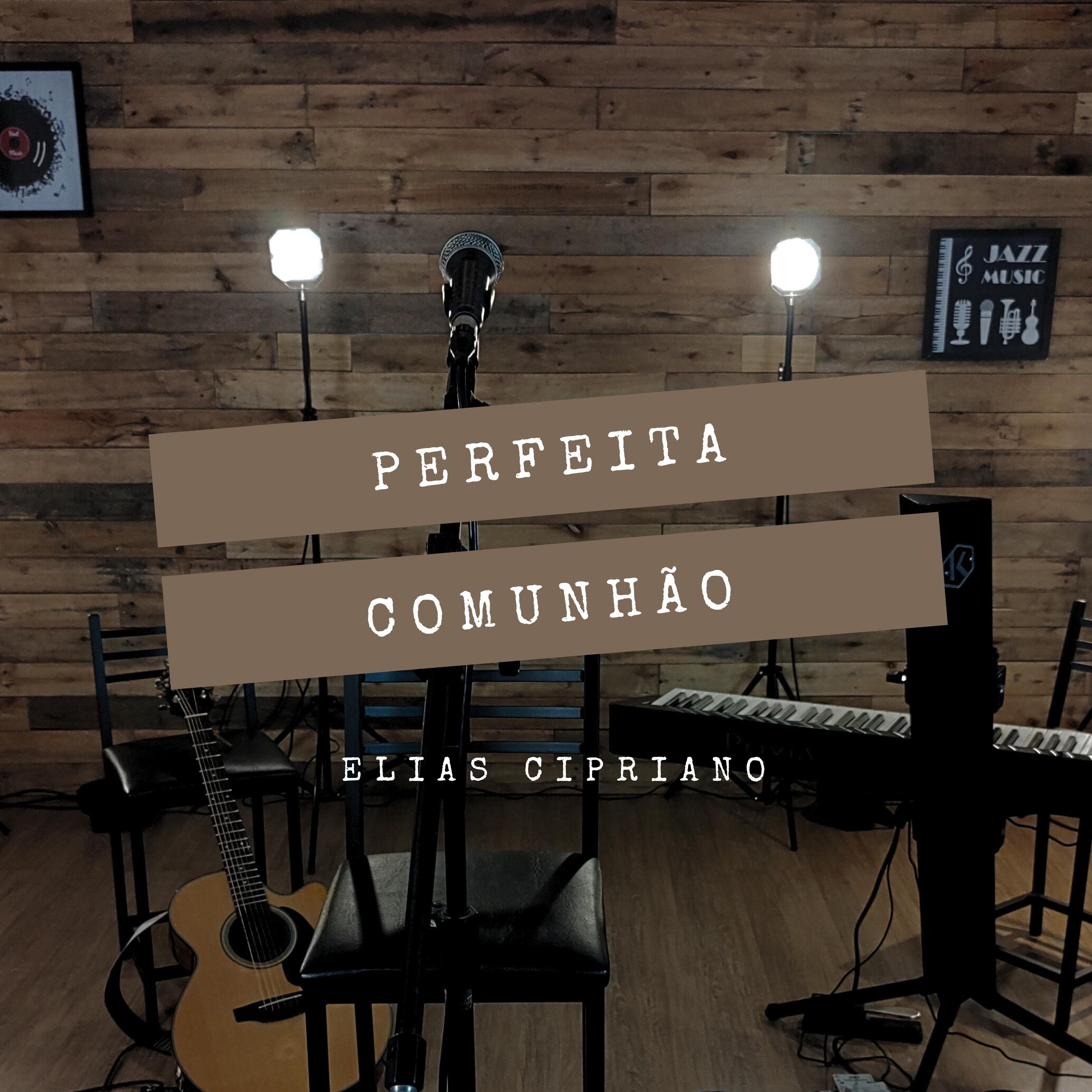 Постер альбома Perfeita Comunhão
