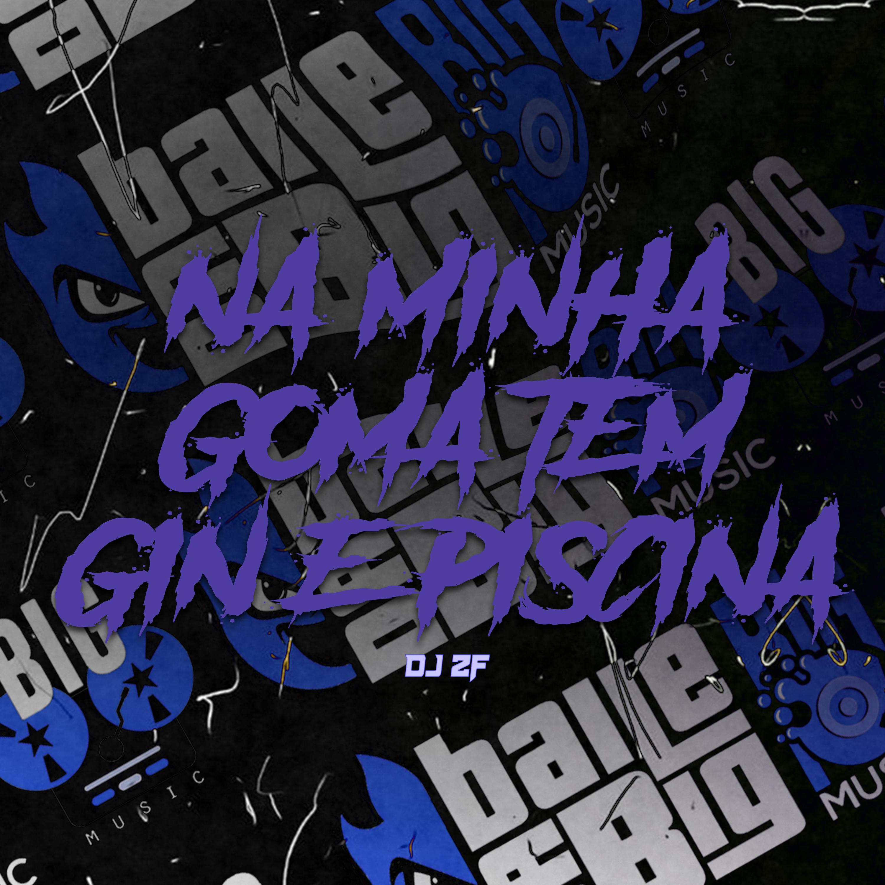 Постер альбома Na Minha Goma Tem Gin e Piscina