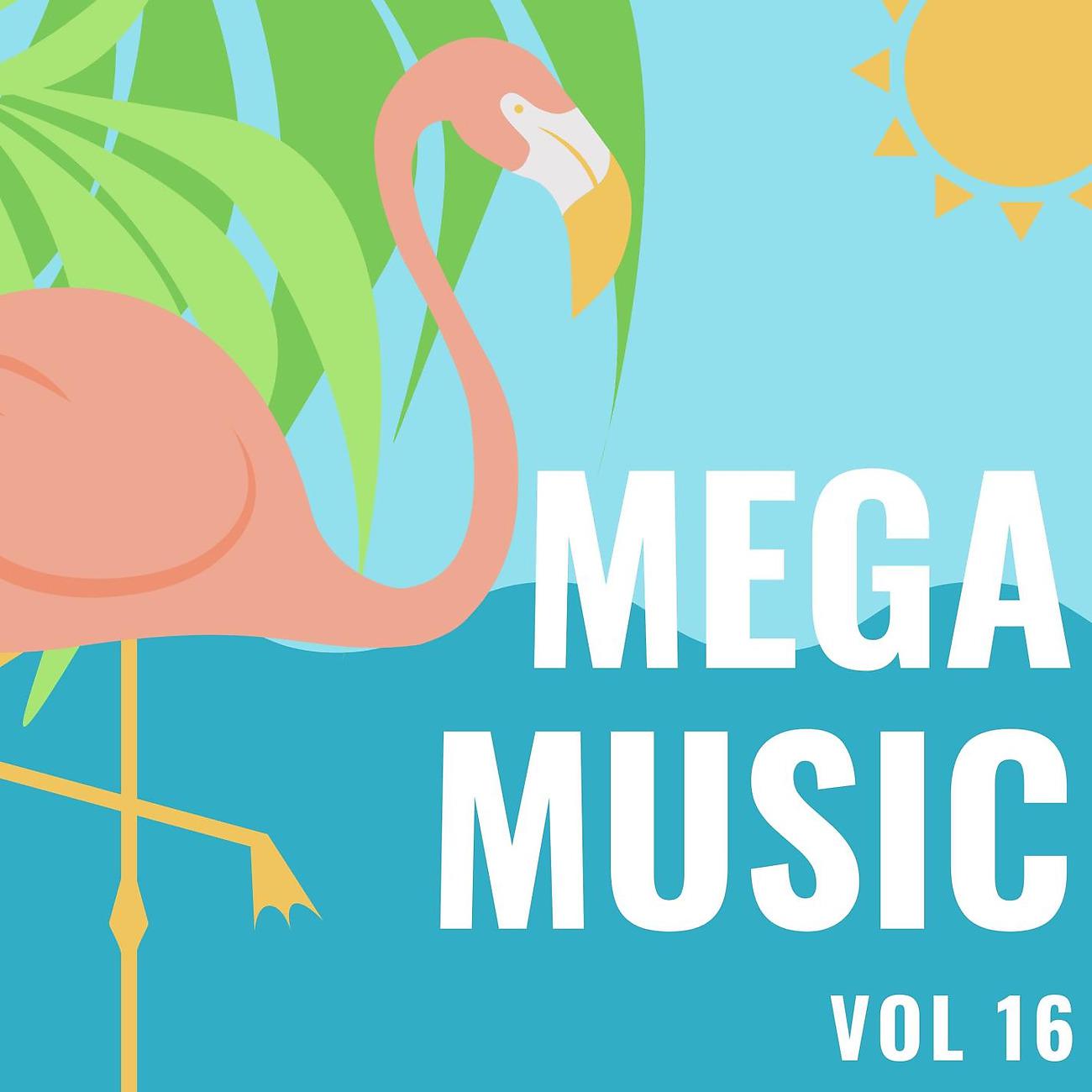 Постер альбома Mega Music Vol 16