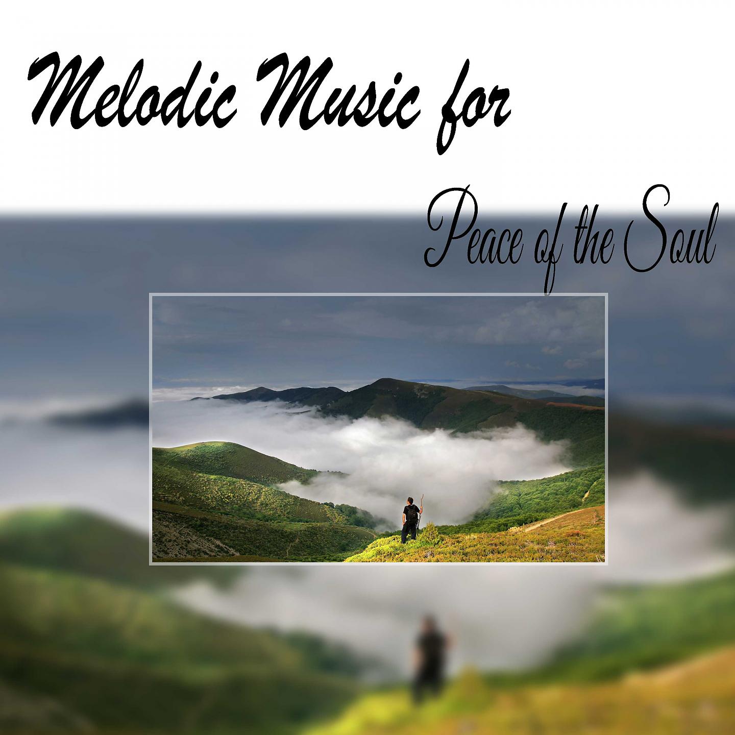 Постер альбома Melodic Music for Peace of the Soul