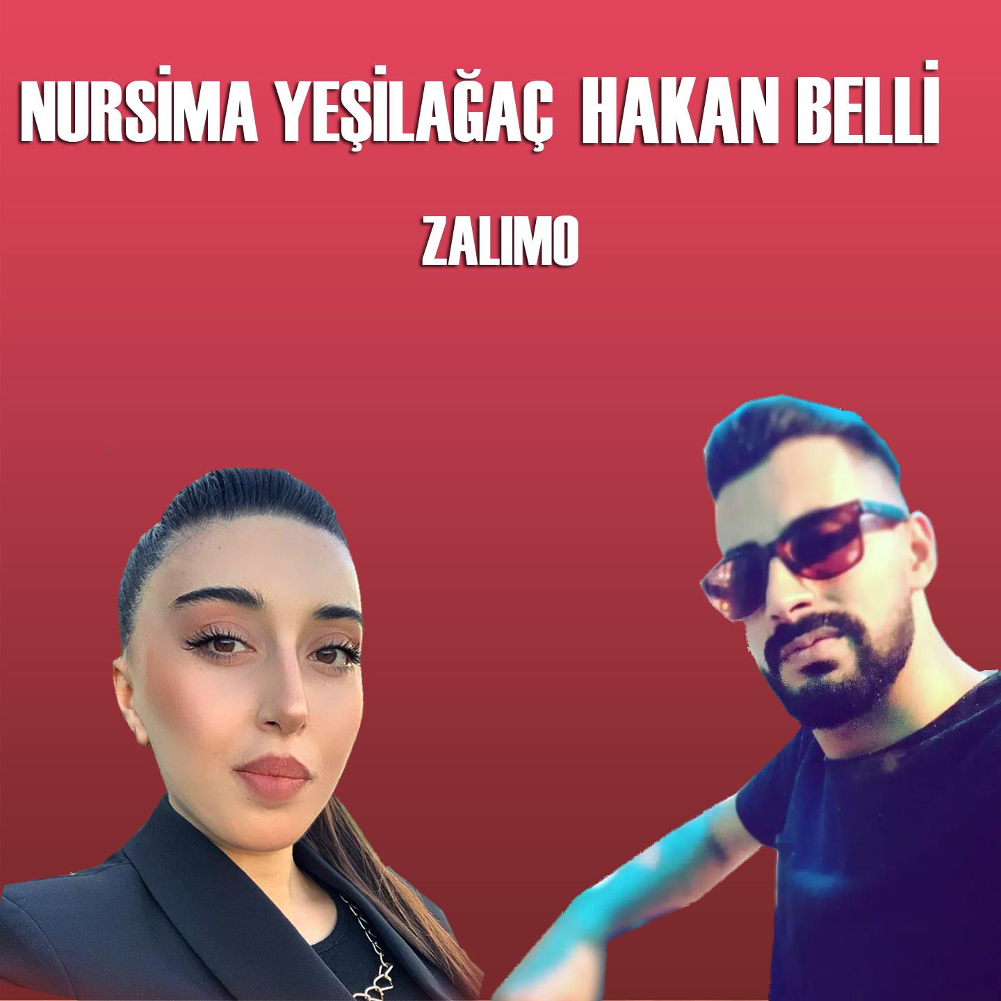 Постер альбома Zalımo