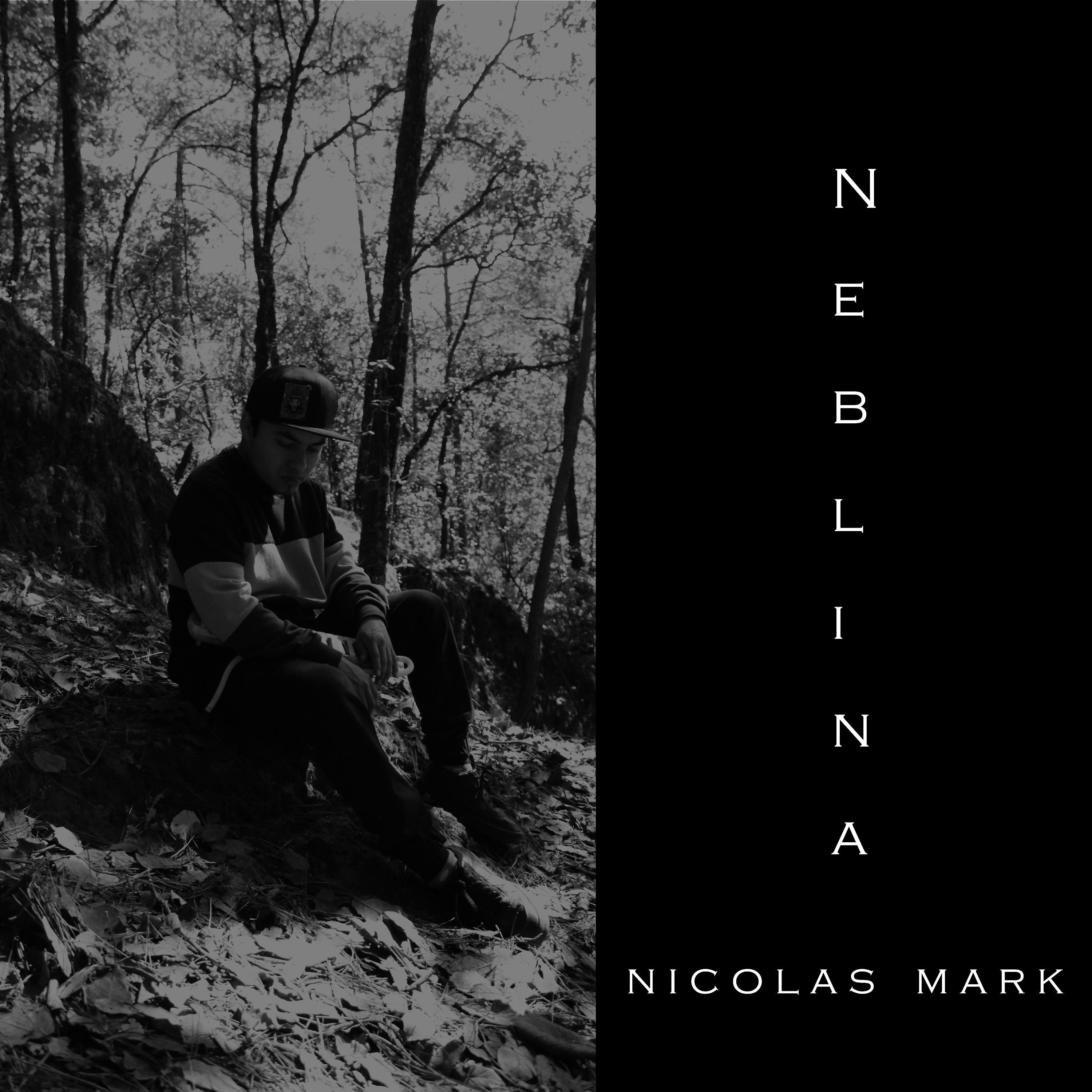 Постер альбома Neblina