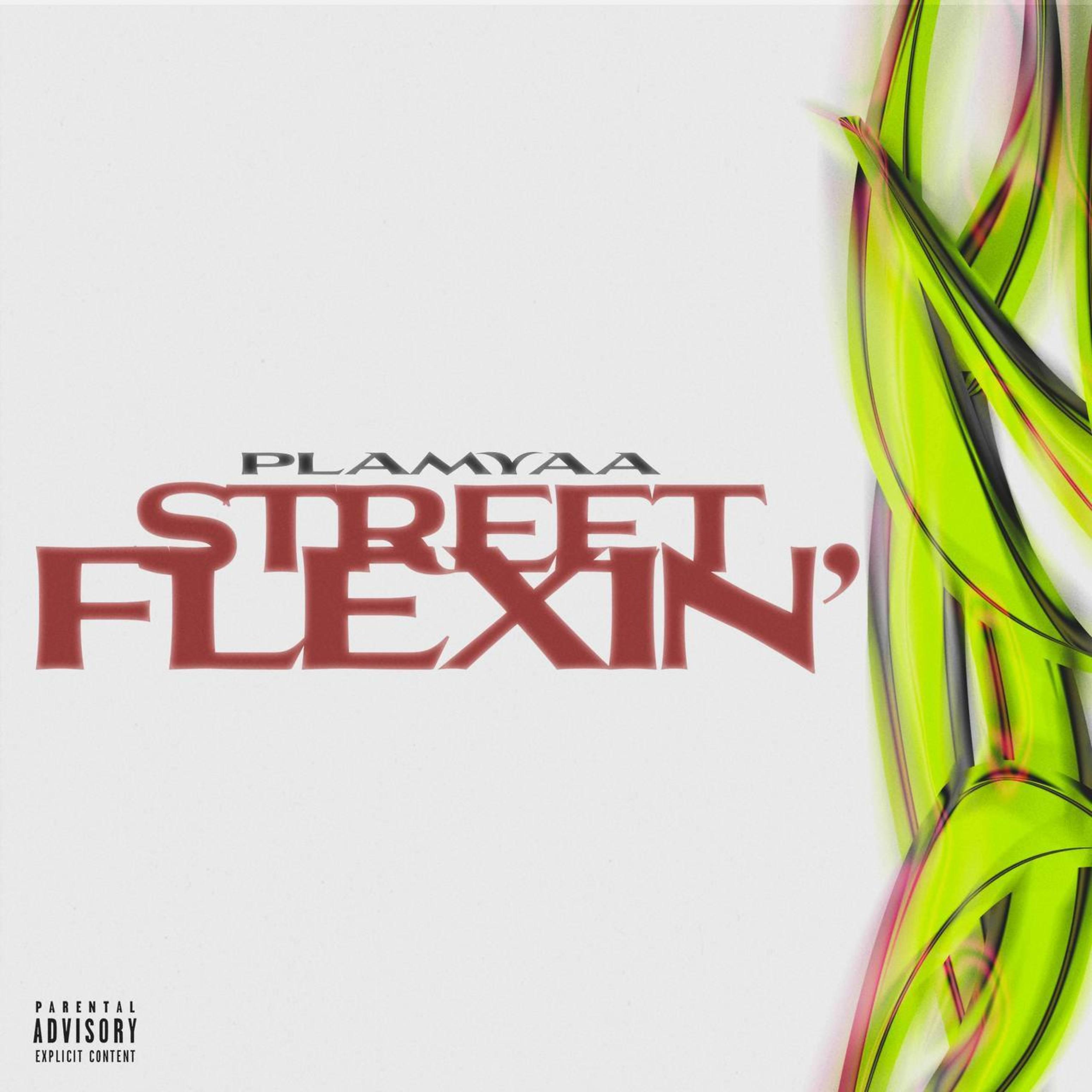 Постер альбома Streetflexin’
