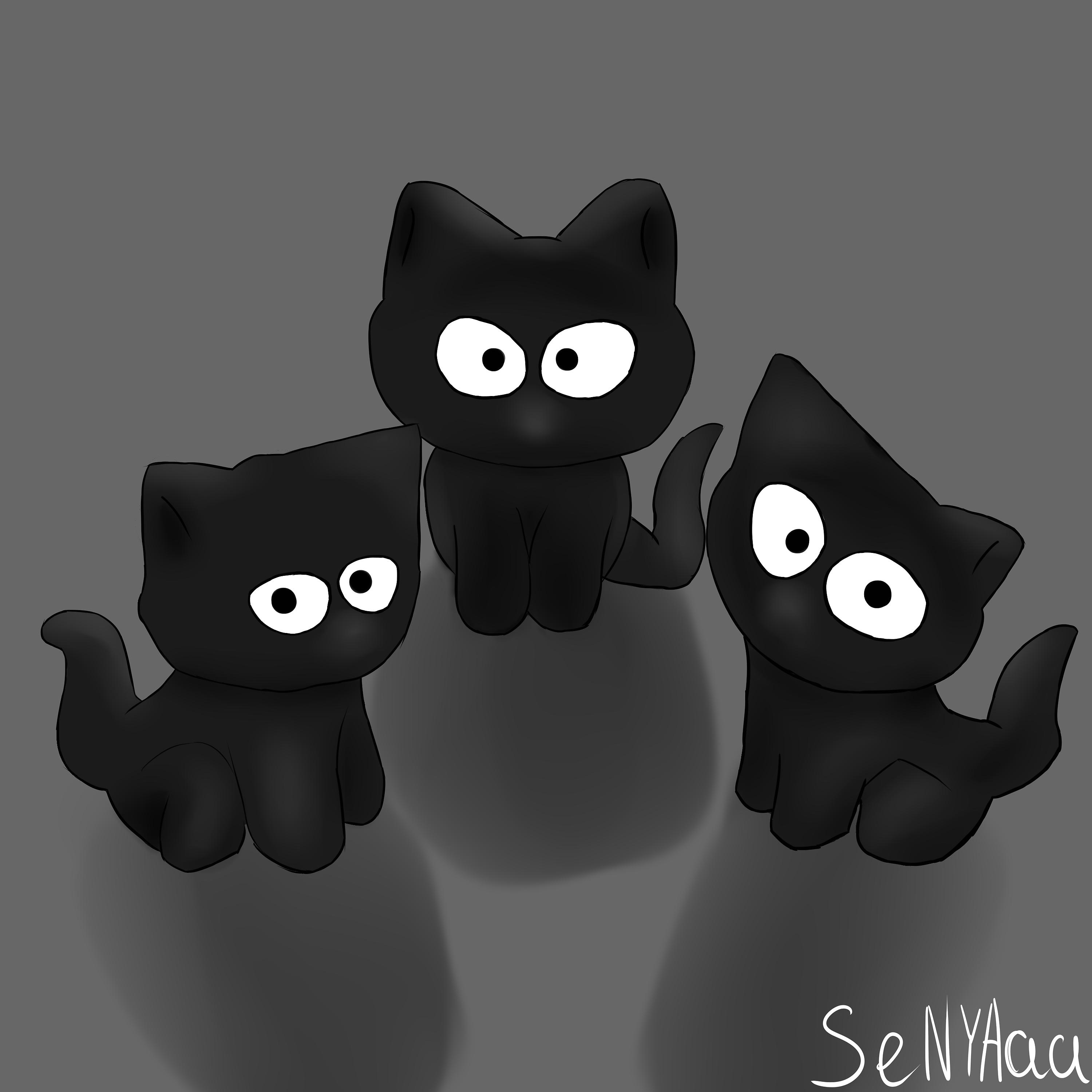 Постер альбома чёрные кошки