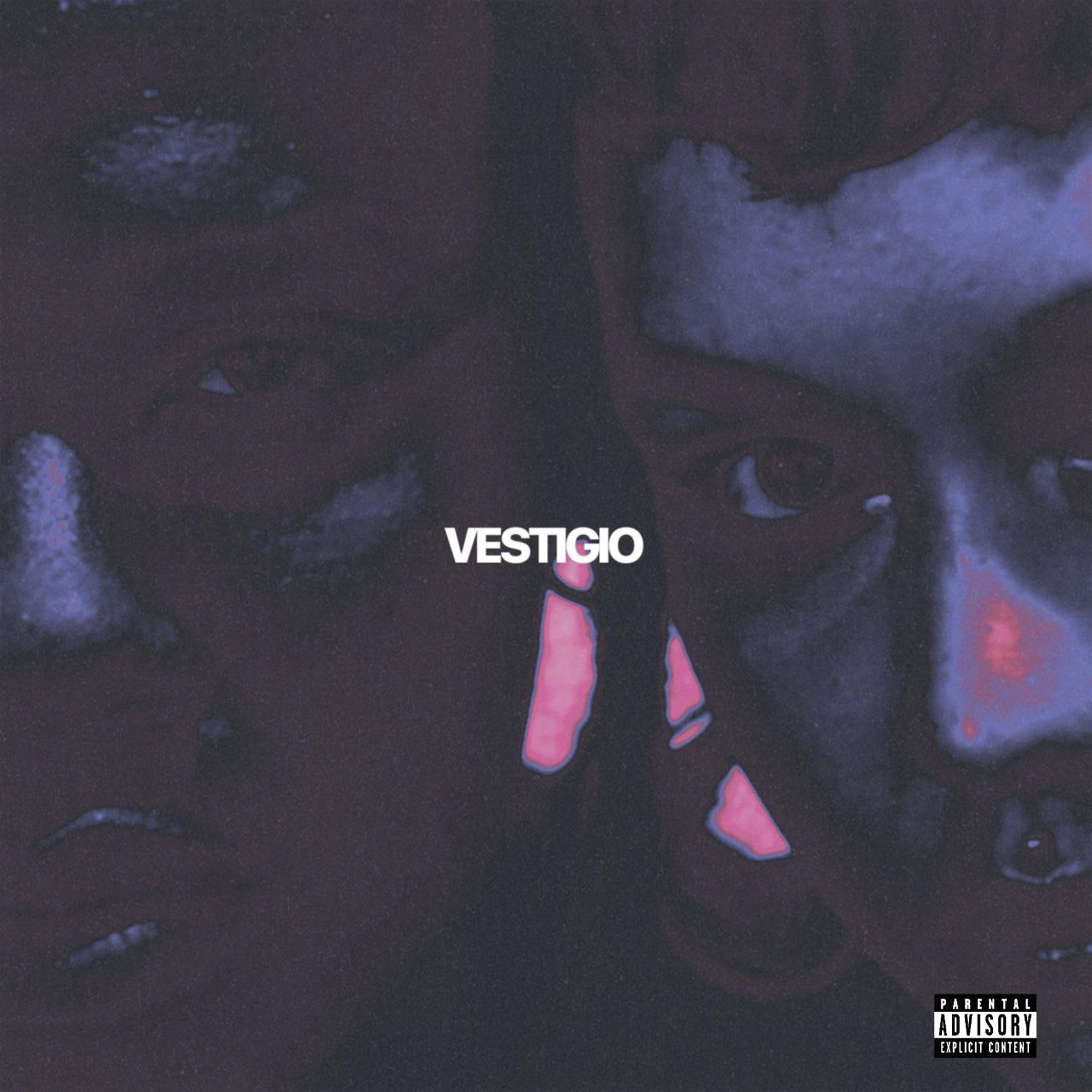 Постер альбома Vestigio