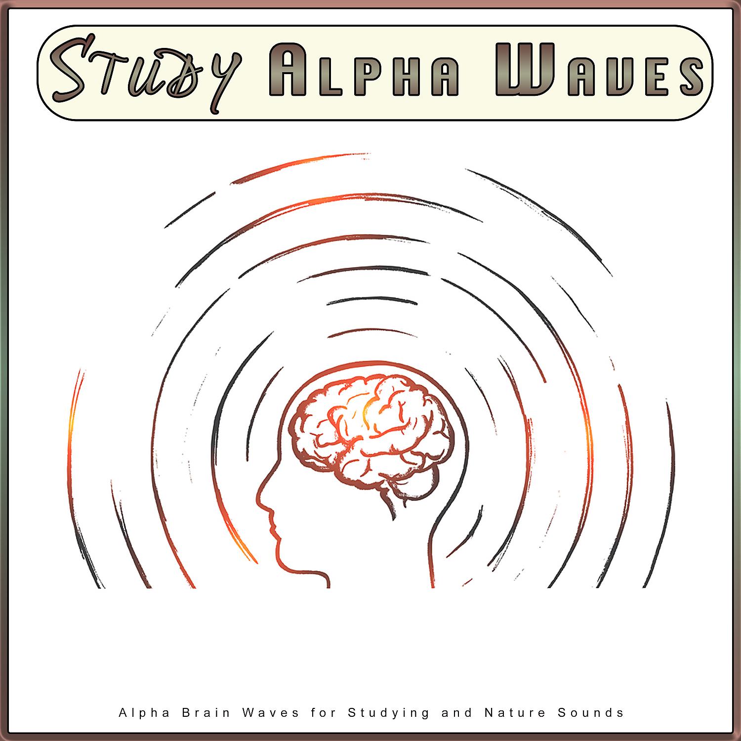 Постер альбома Study Alpha Waves: Alpha Brain Waves for Studying and Nature Sounds