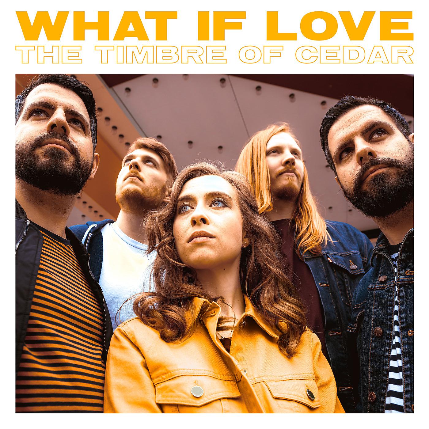 Постер альбома What If Love