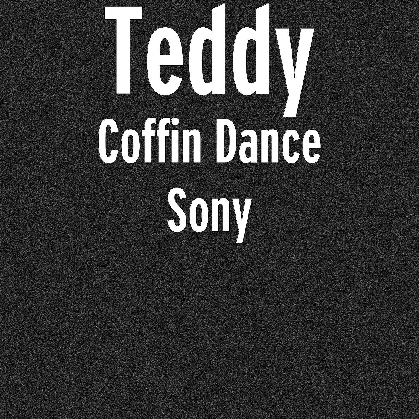 Постер альбома Coffin Dance Sony