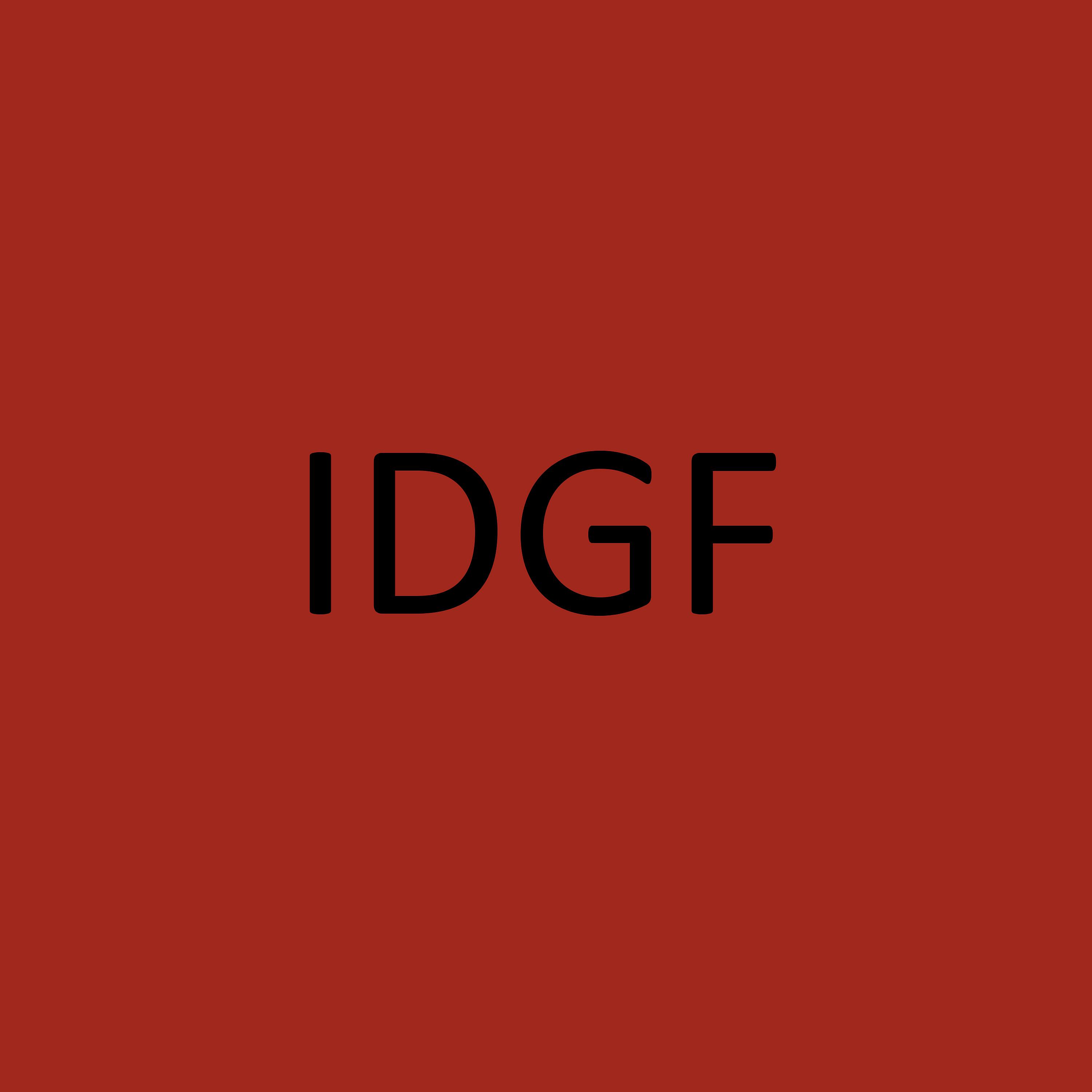 Постер альбома Idgf