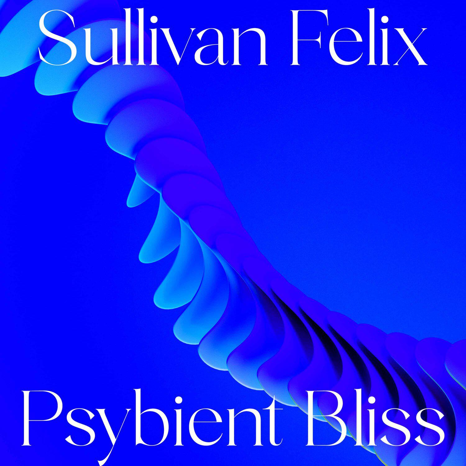 Постер альбома Psybient Bliss