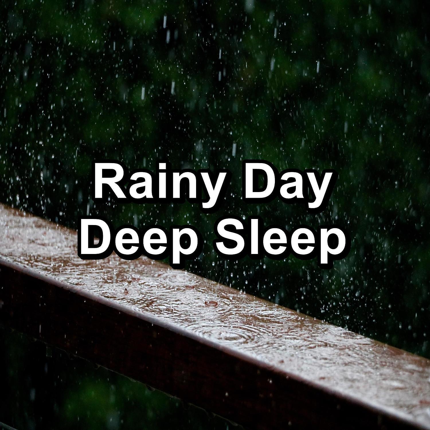 Постер альбома Rainy Day Deep Sleep