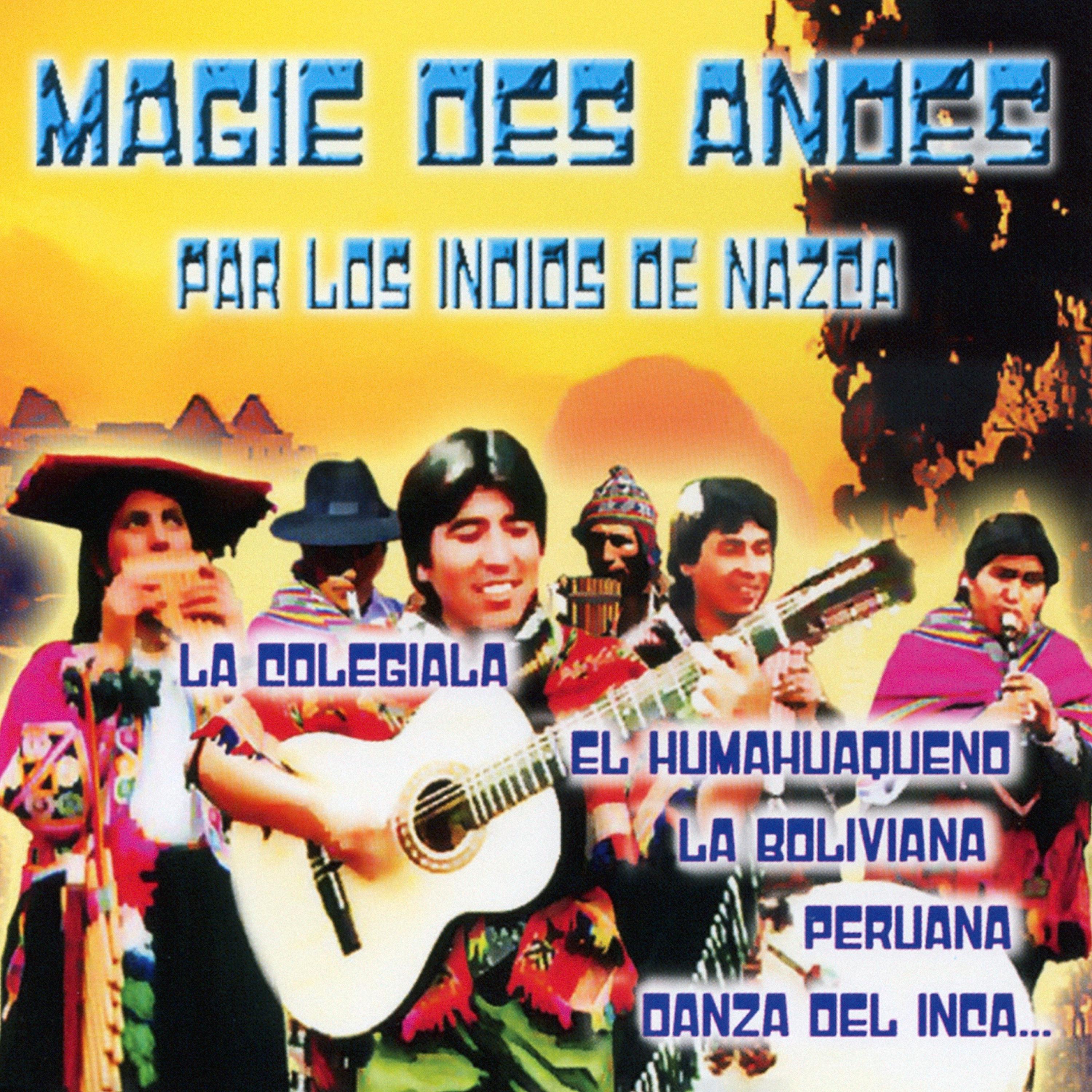 Постер альбома Magie Des Andes