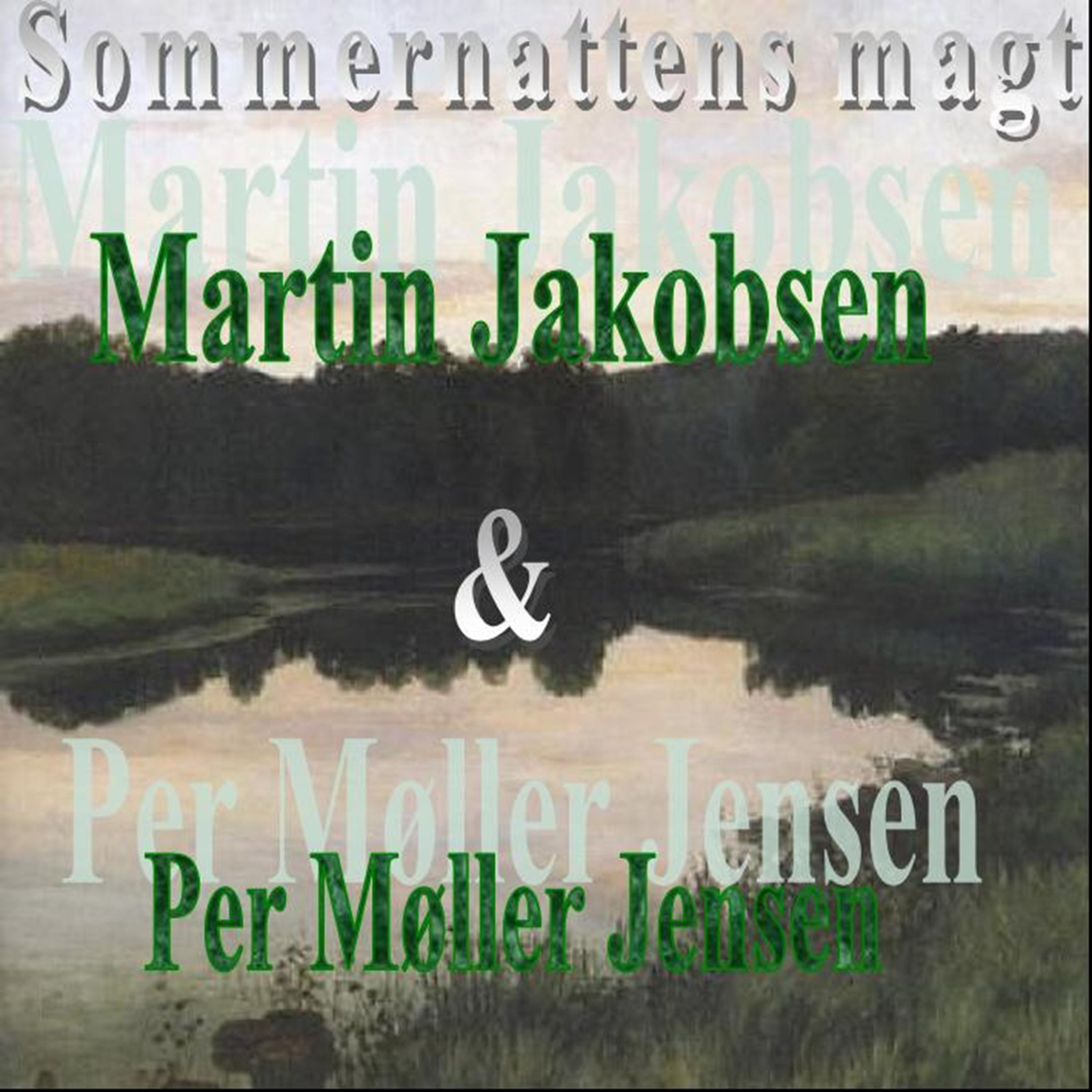 Постер альбома Sommernattens Magt