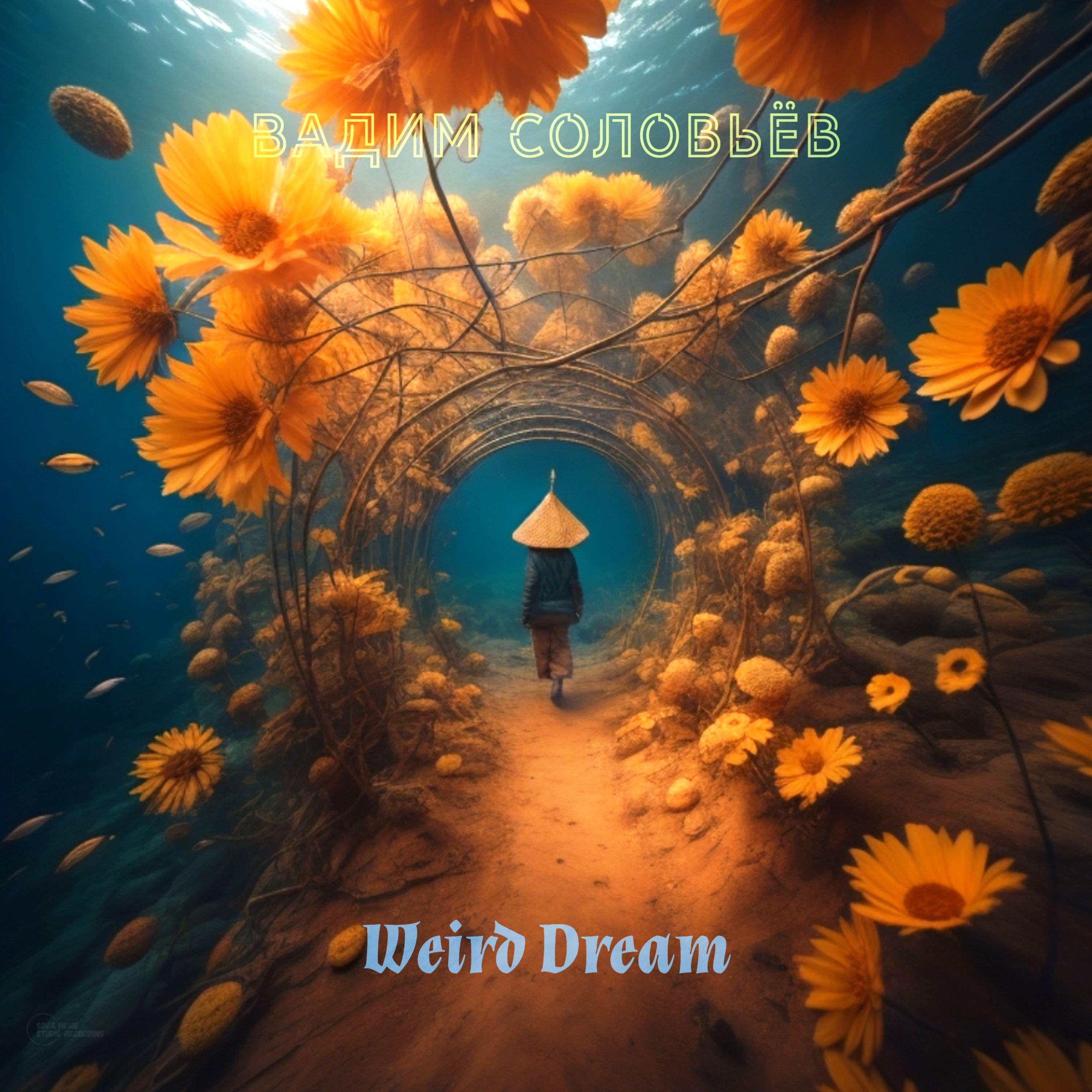Постер альбома Weird Dream
